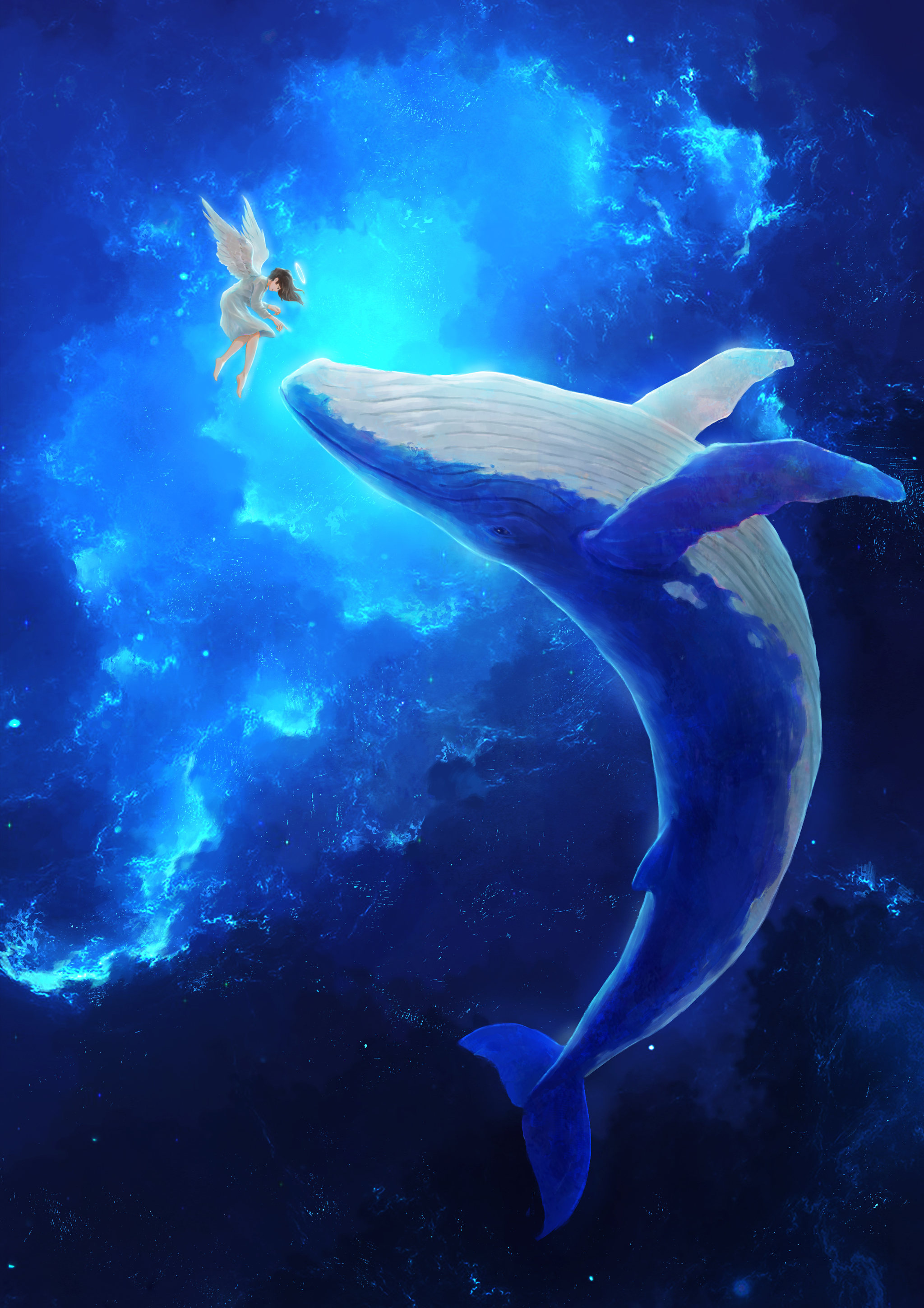 鲸鱼与天使