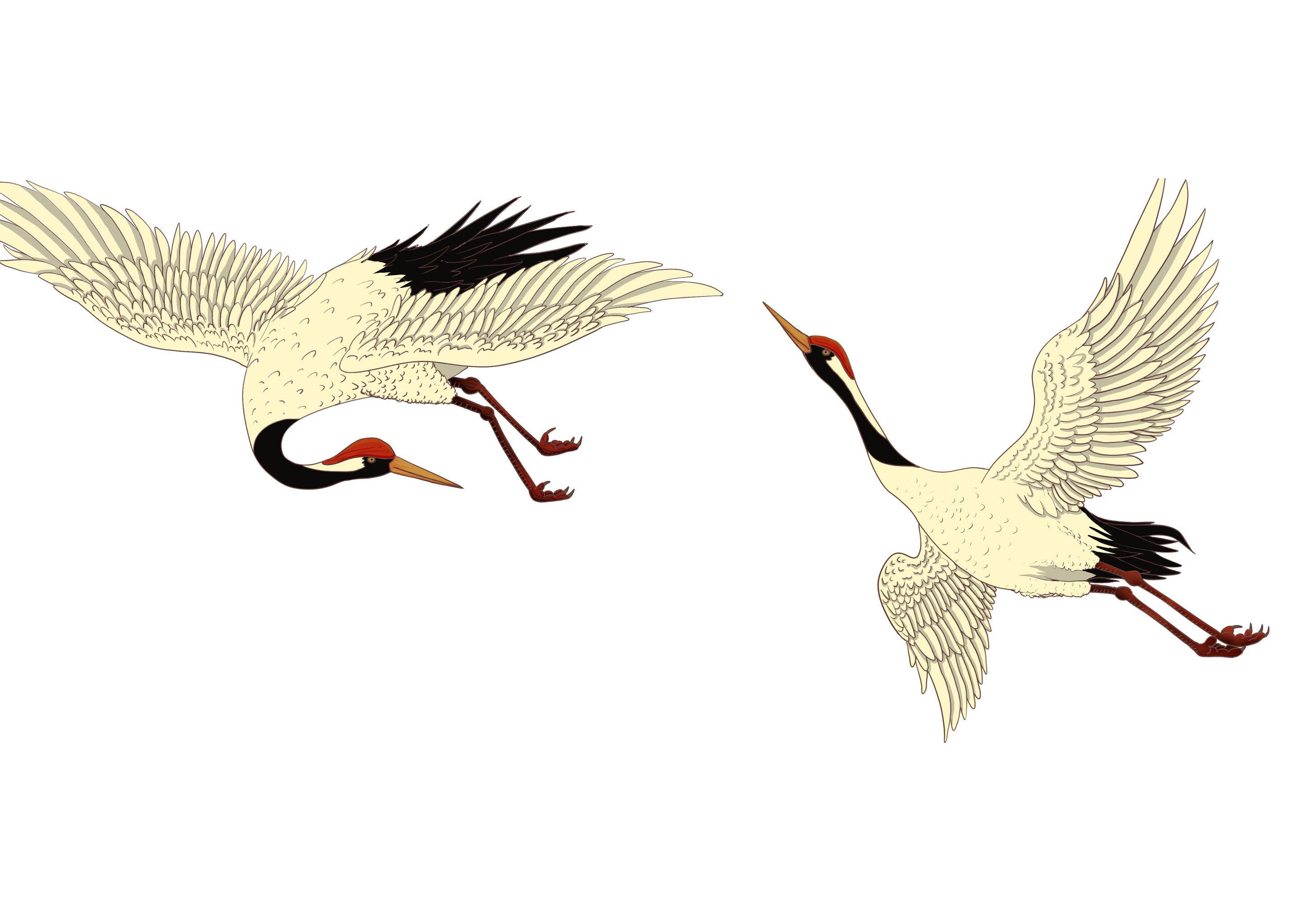 两只在天上飞的鹤