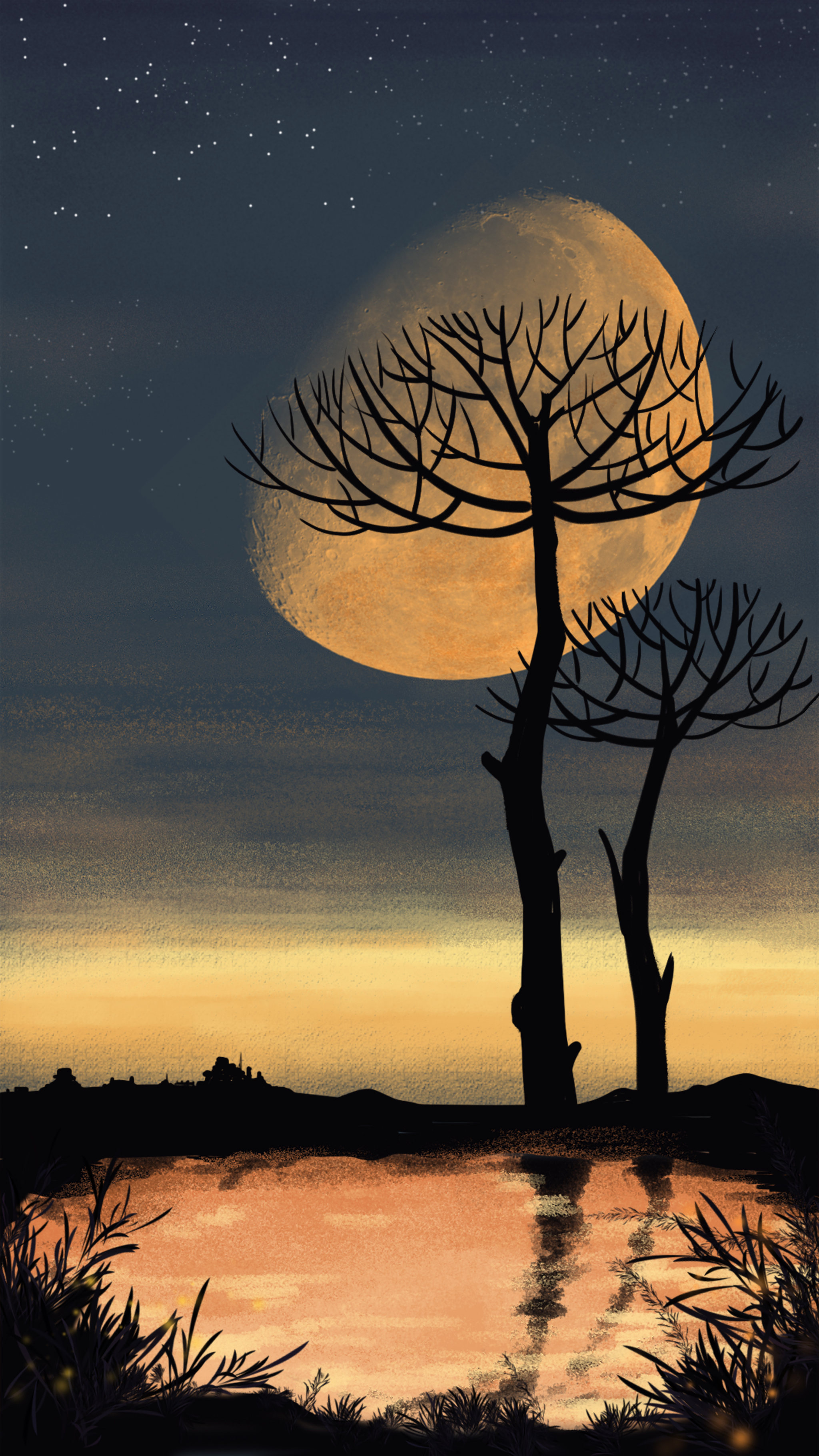 夜空- 冬菇 - 原创作品 - 视觉中国(shijueme)