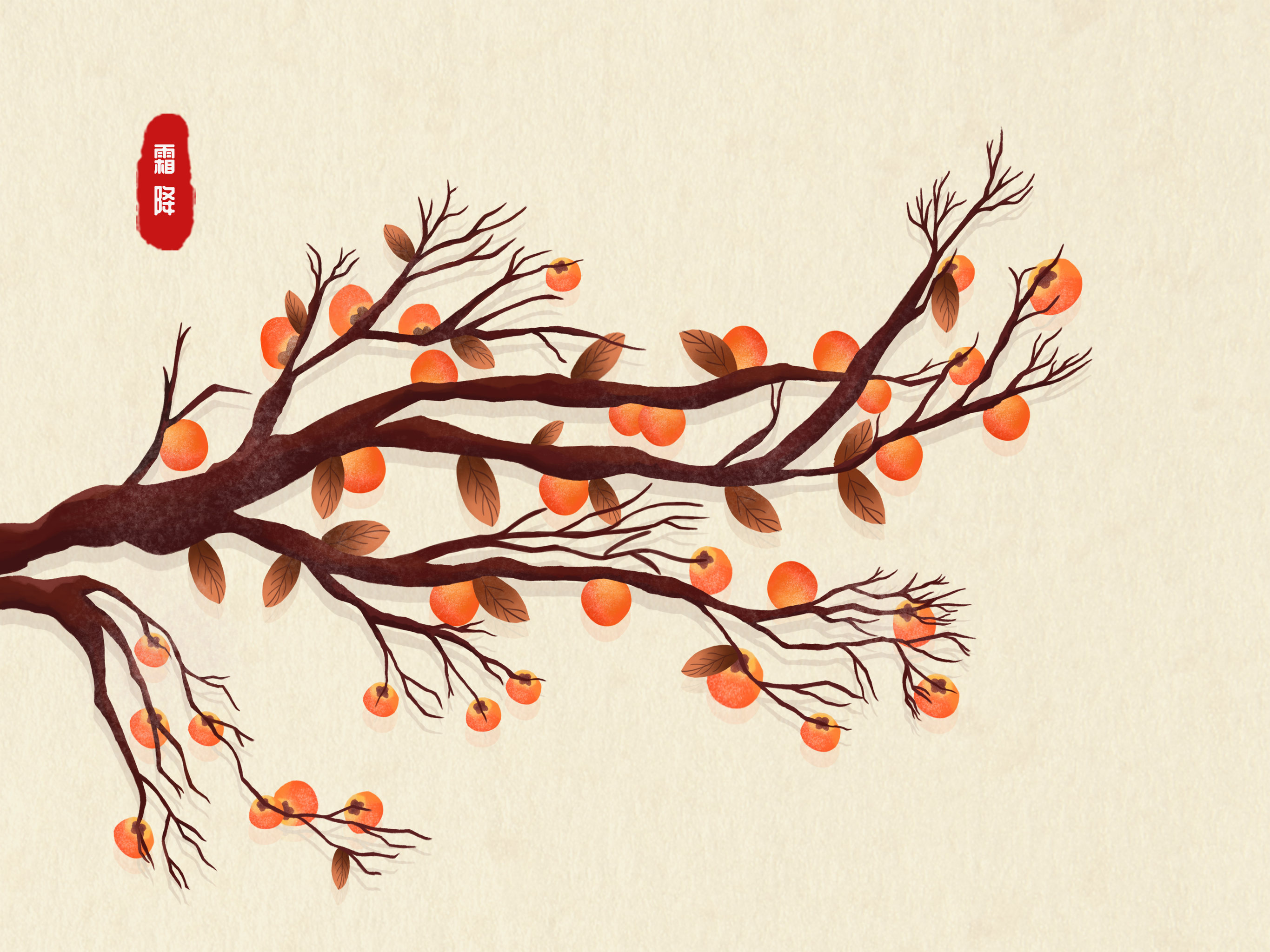 二十四节气之霜降