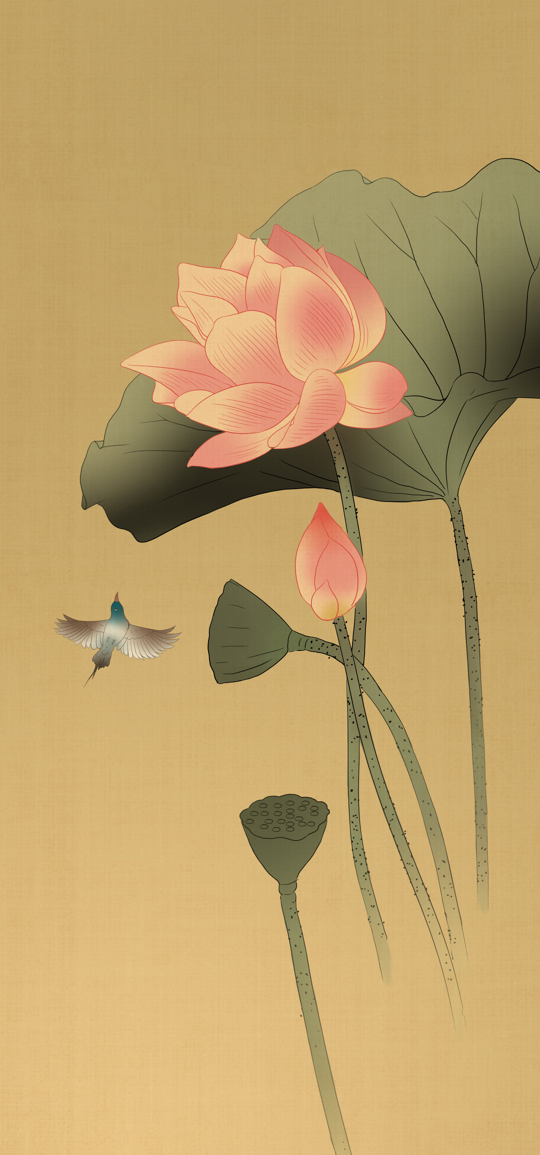 中国风传统绘画中国画工笔花鸟画莲花国粹艺术古风背景荷花插画