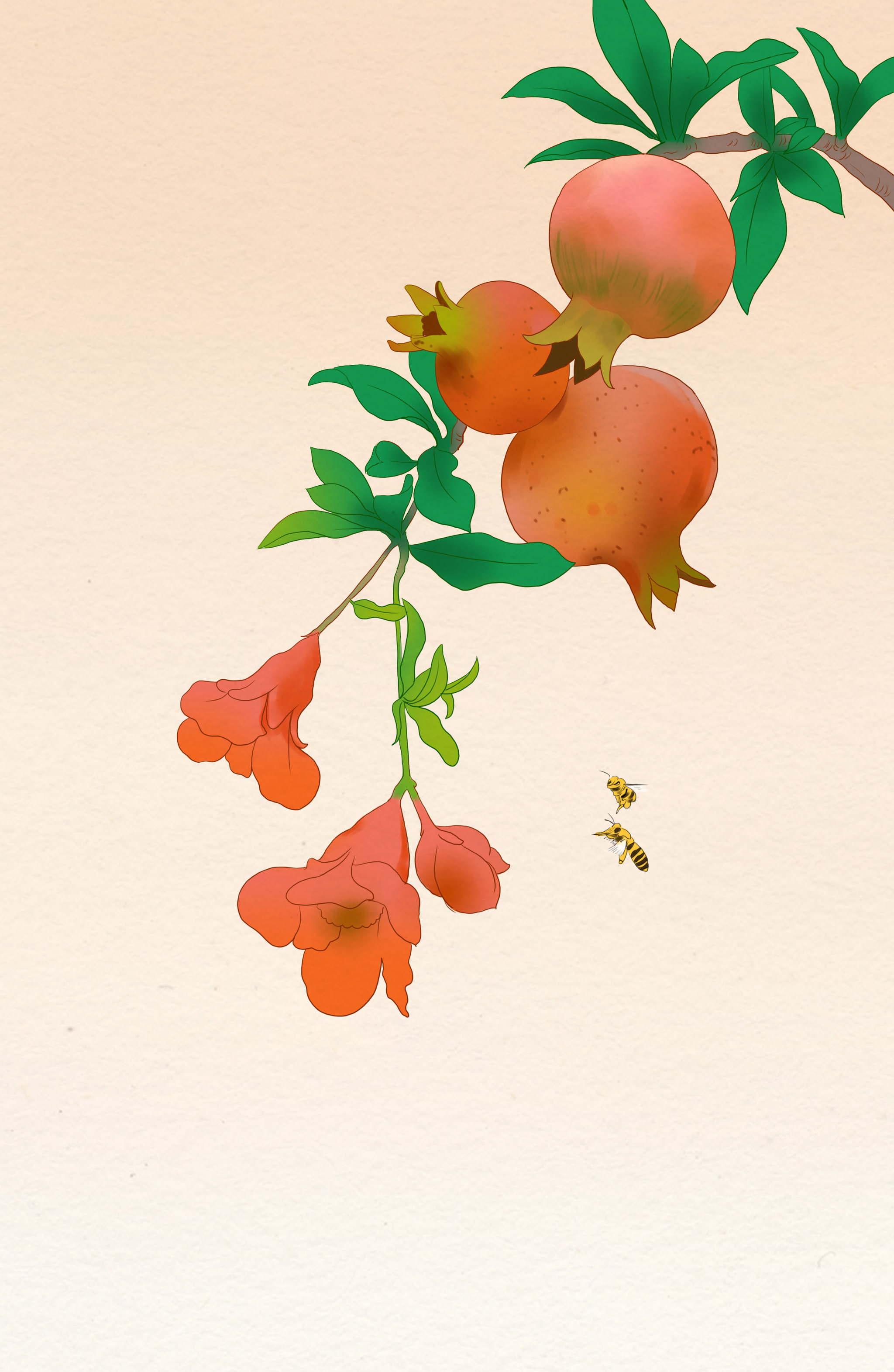 中国风传统绘画中国画工笔花鸟画石榴蜜蜂情趣古风背景插画