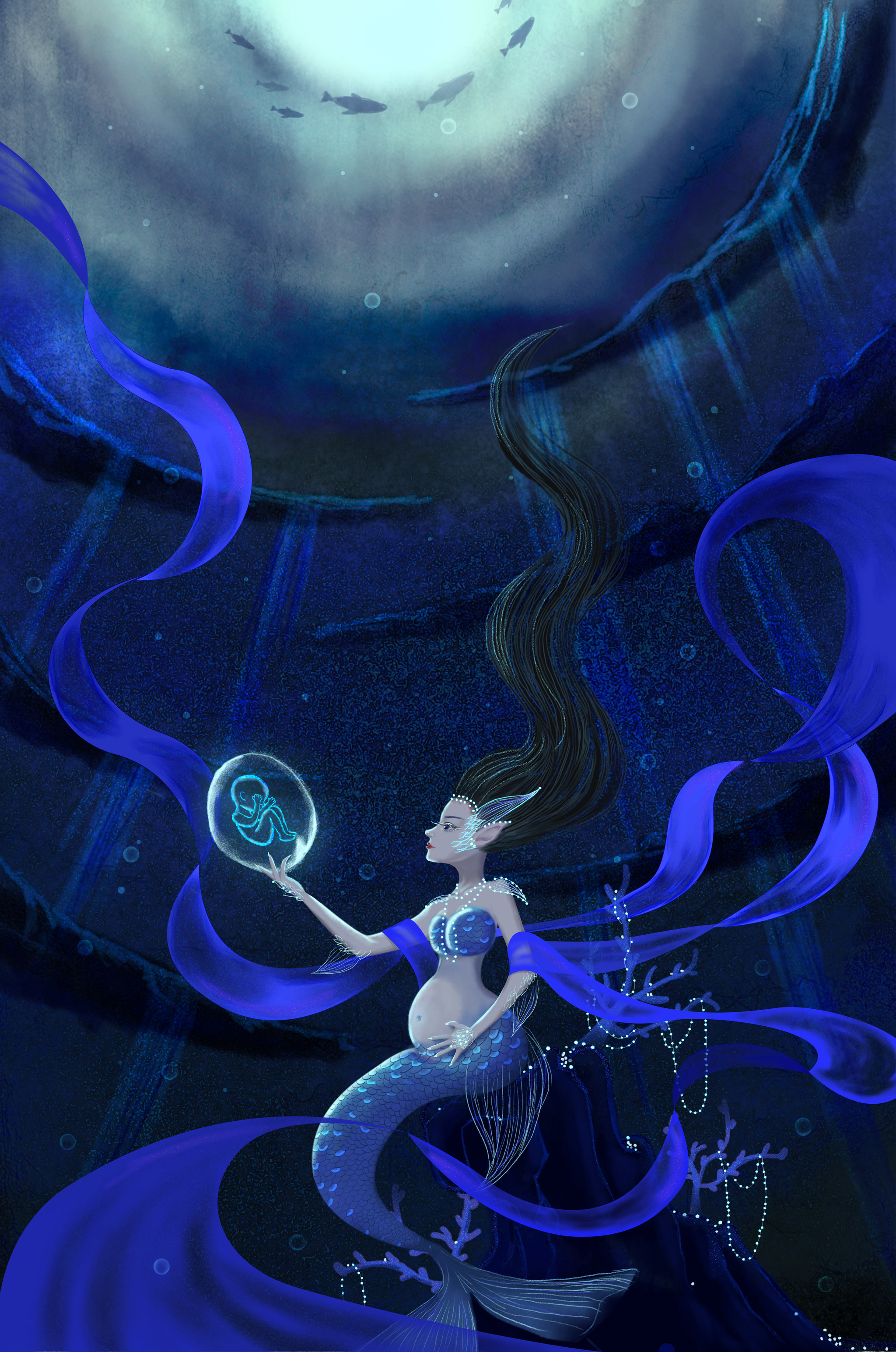 美人鱼孕育胎儿