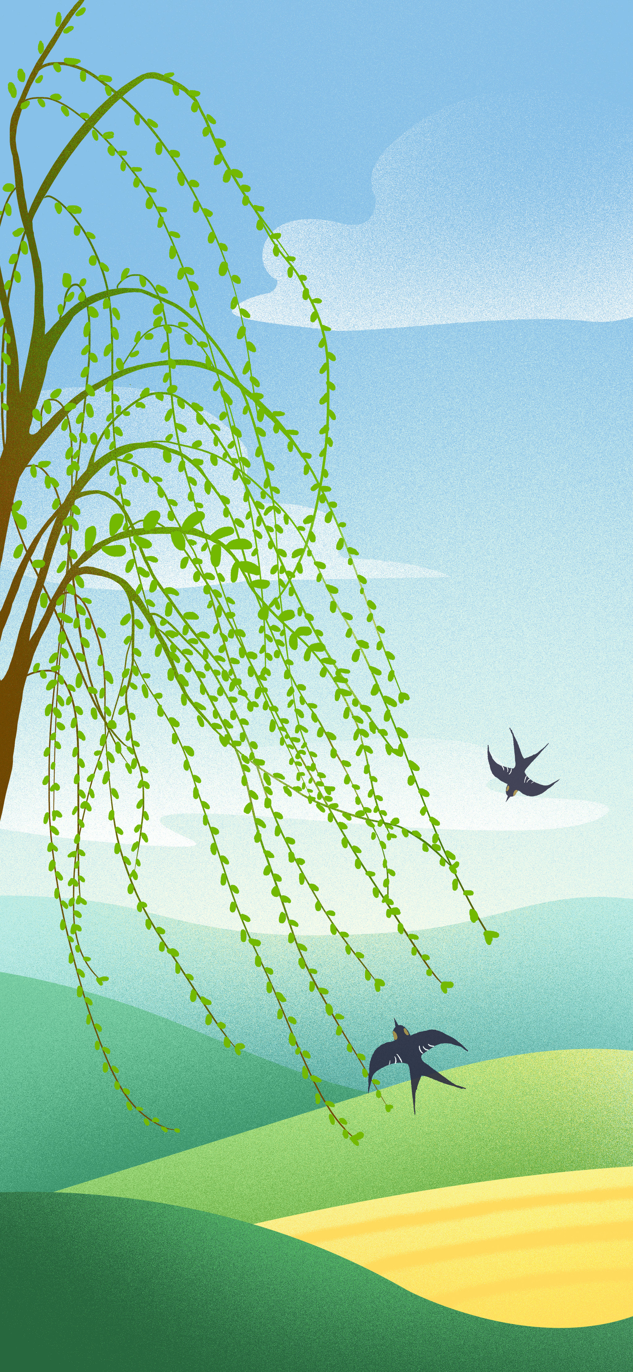 春天 插画  - 商业插画 |   上传时间: 2021-01-26 18:54 为ta点赞