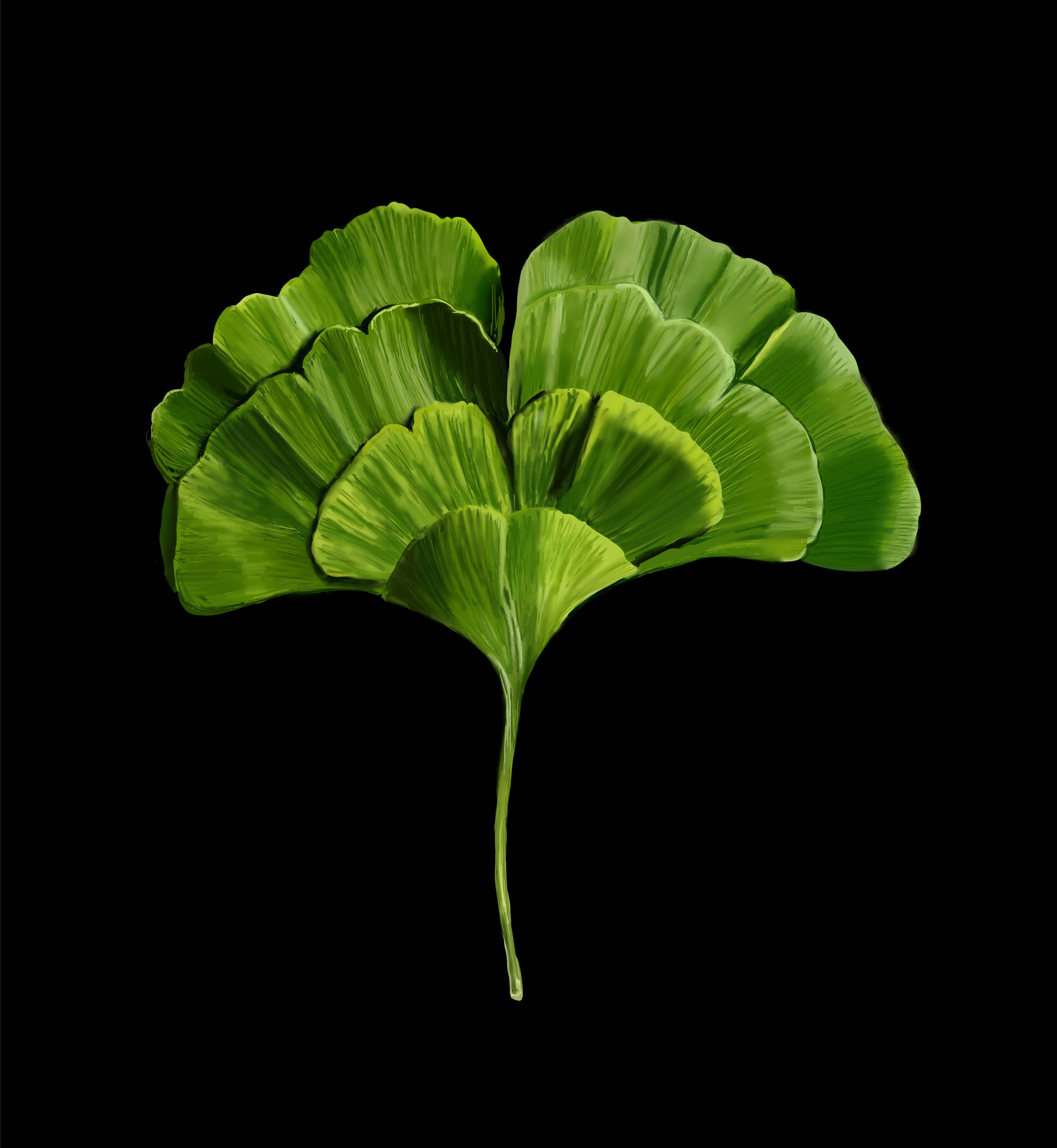 超写实手绘叶子