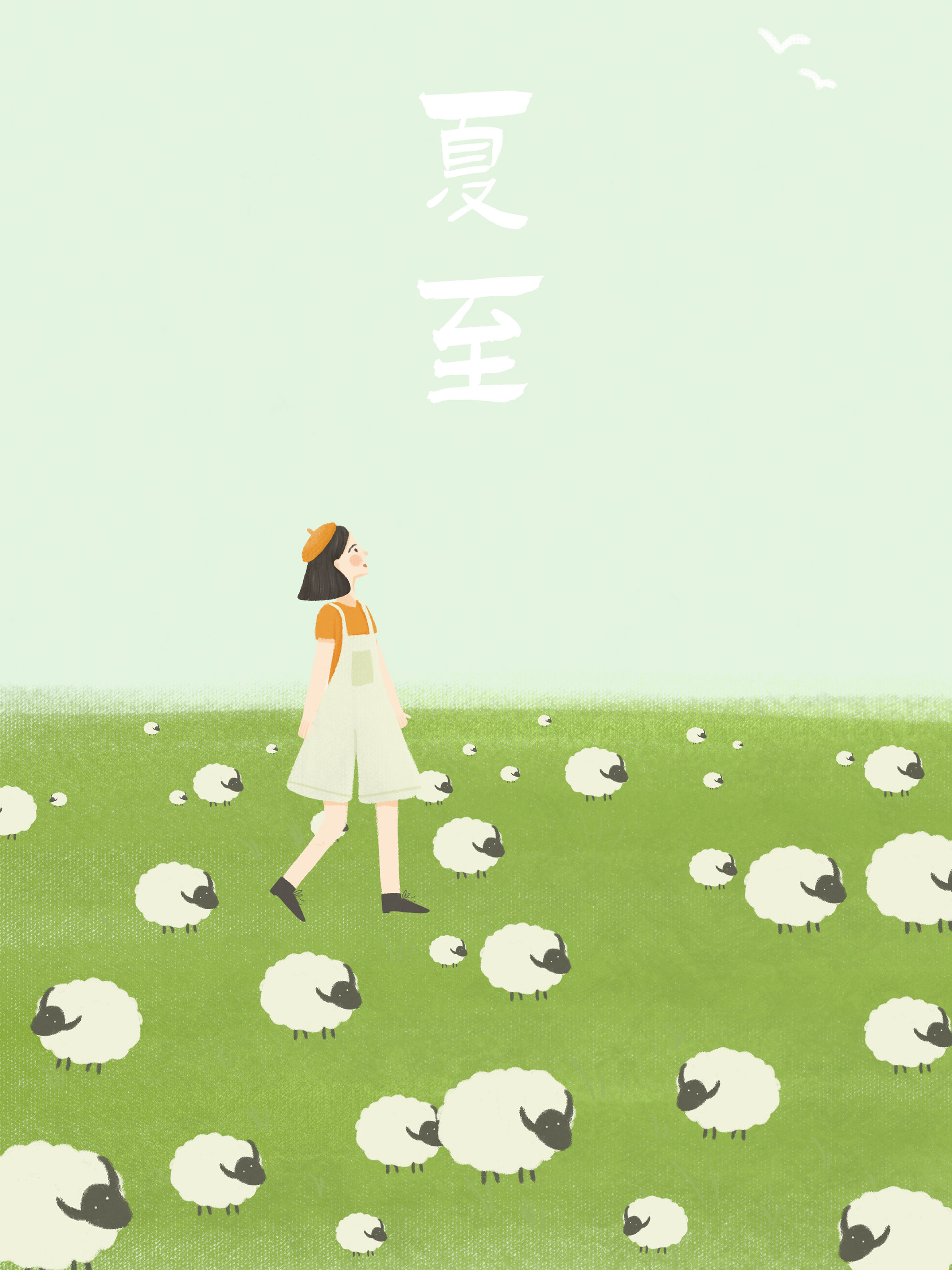 夏至小女孩草地羊群