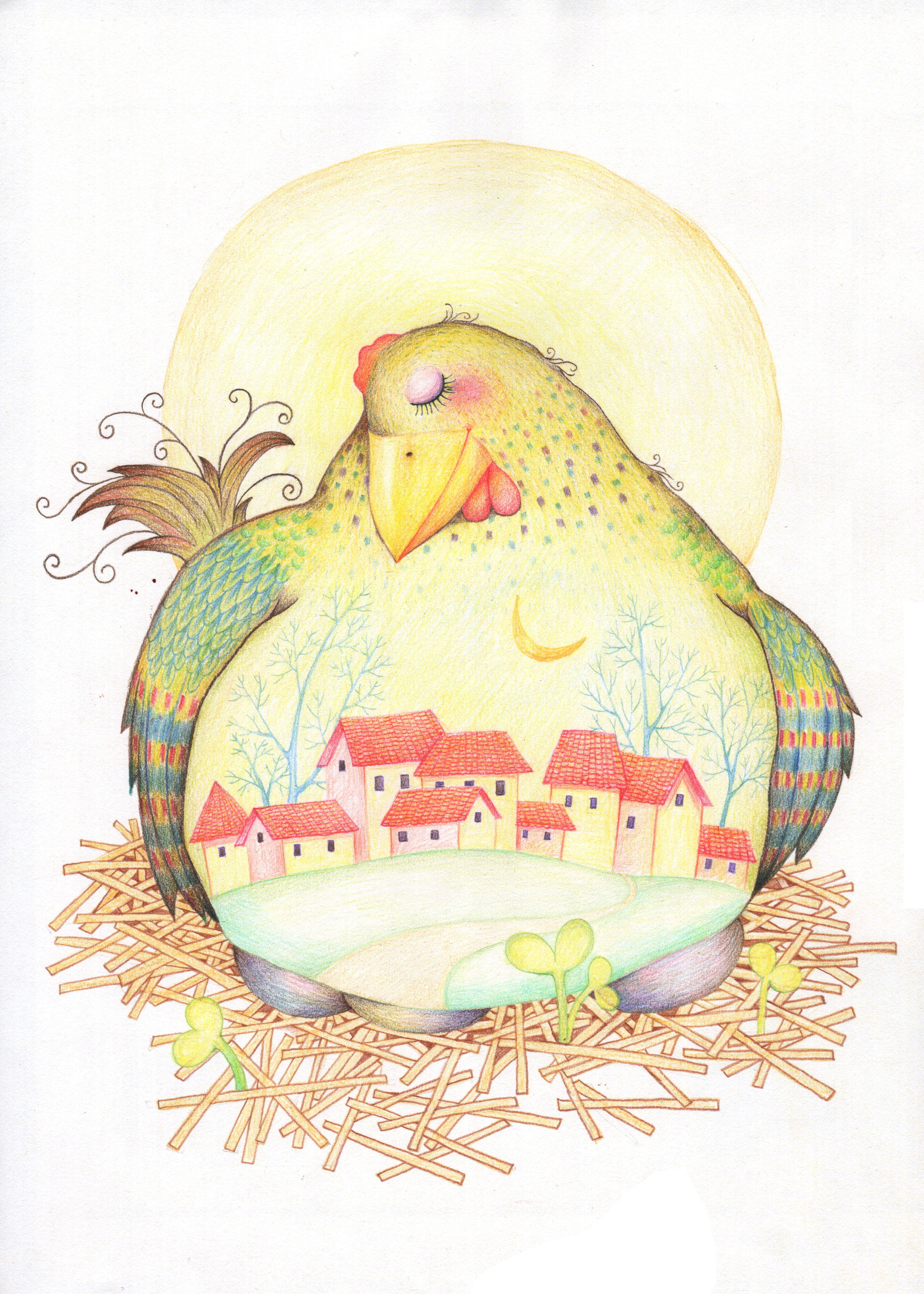 唯美动物插画系列-母鸡孵蛋孵