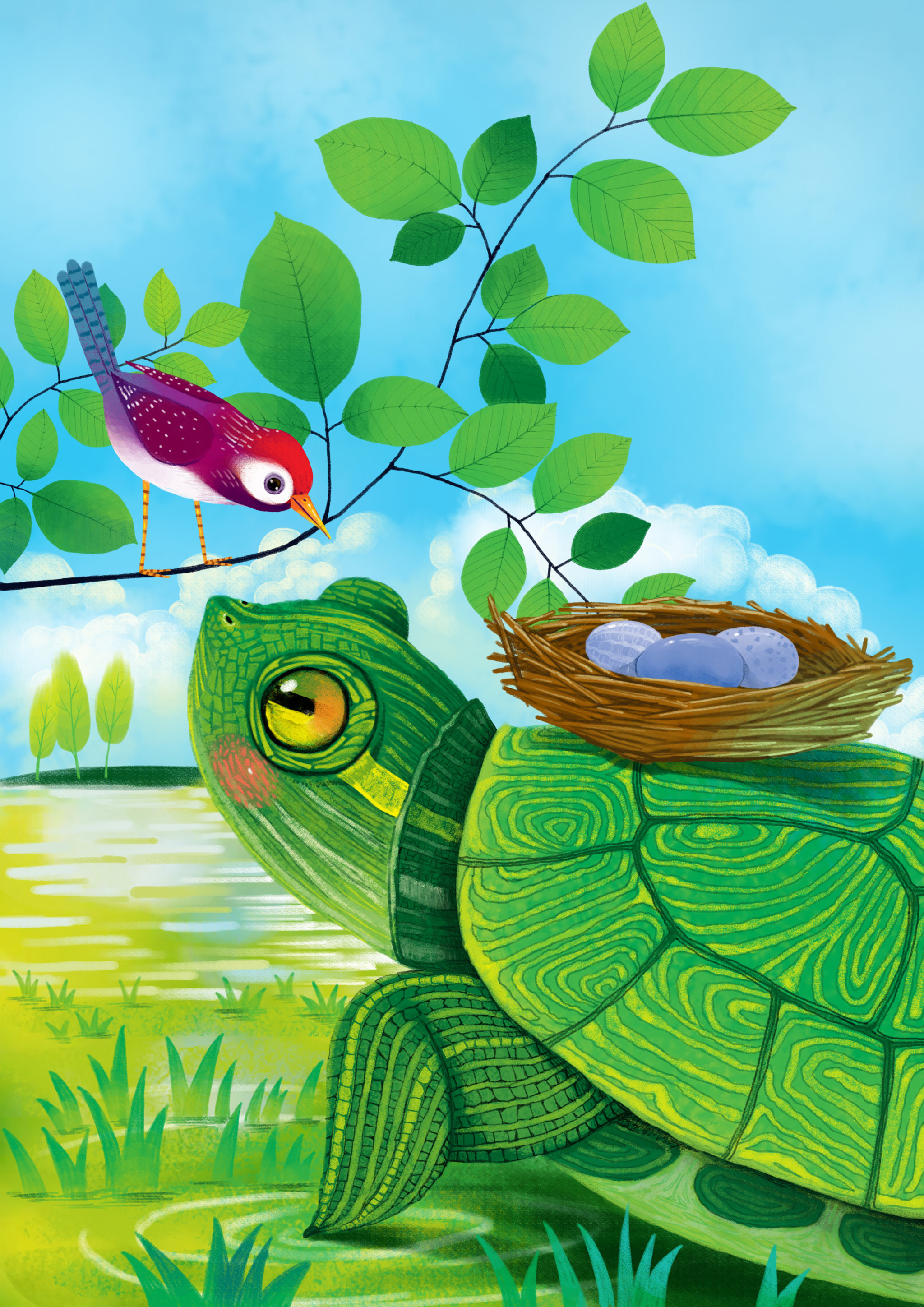 天地童趣动物插画系列乌龟驮着蛋