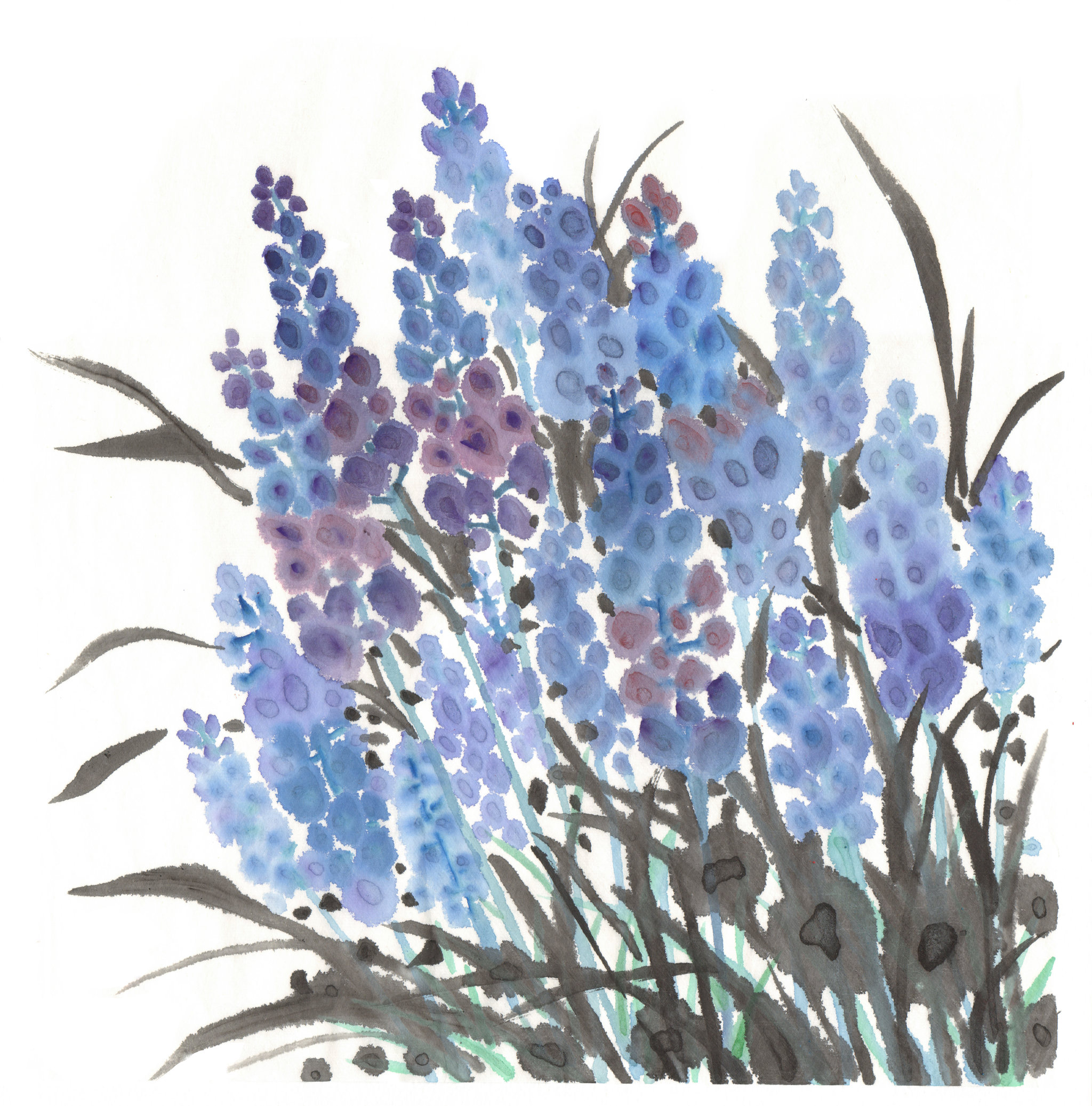 中国画水墨花卉系列第一季共1000幅-衣草 - jing