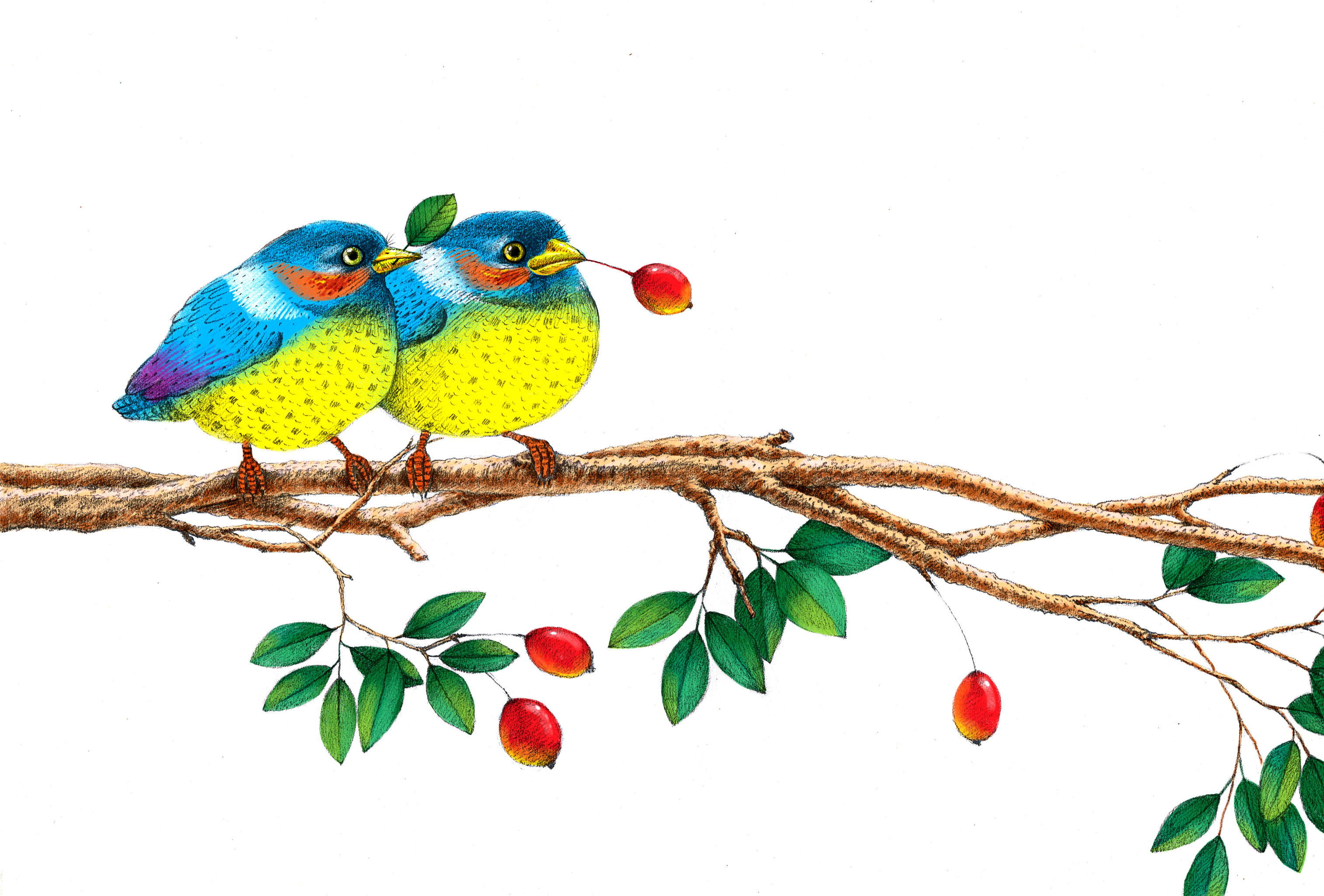 唯美动物插画系列-鸟趣