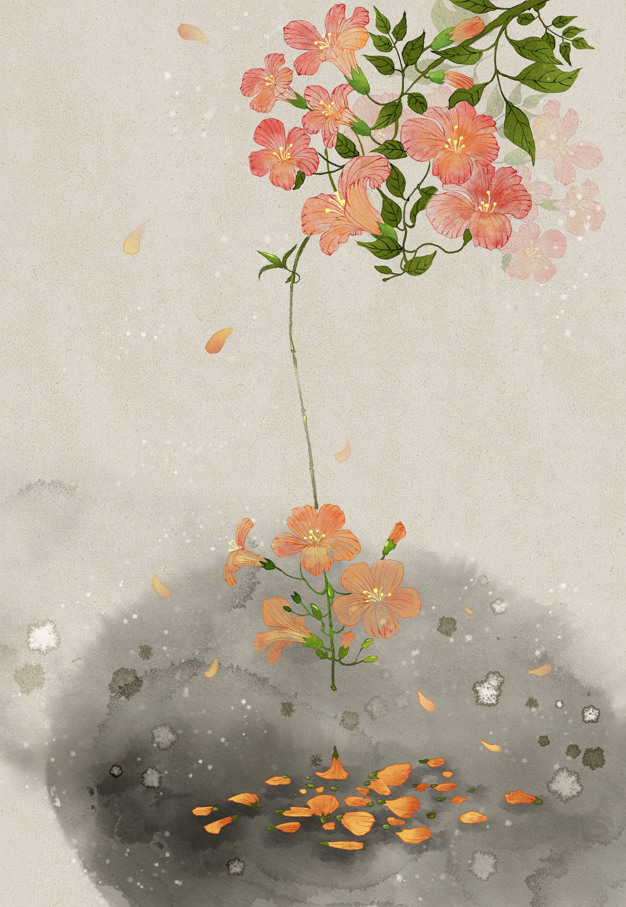 凌霄花水墨风