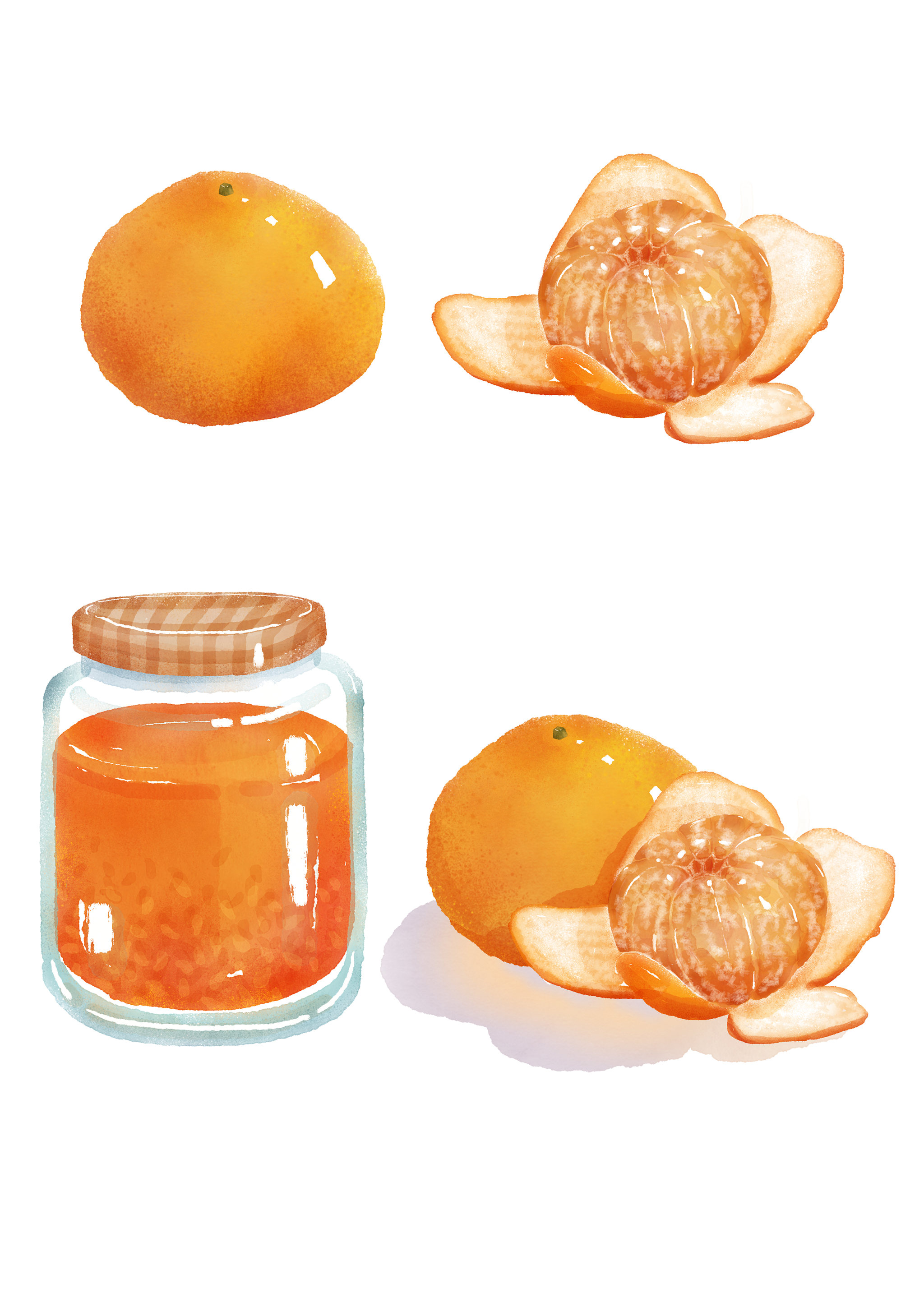 橘子果酱组合素材
