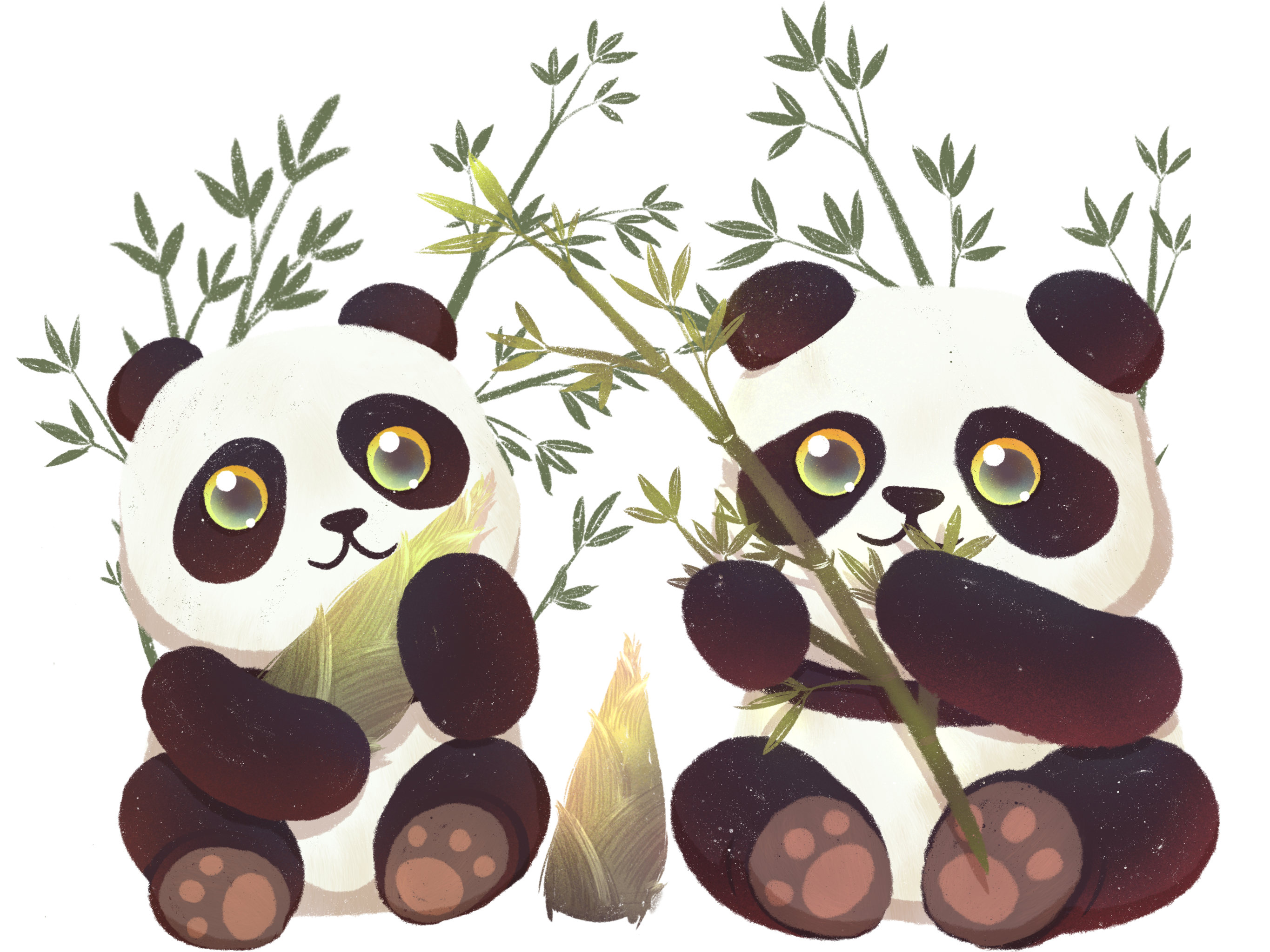 熊猫和他爱的竹子笋