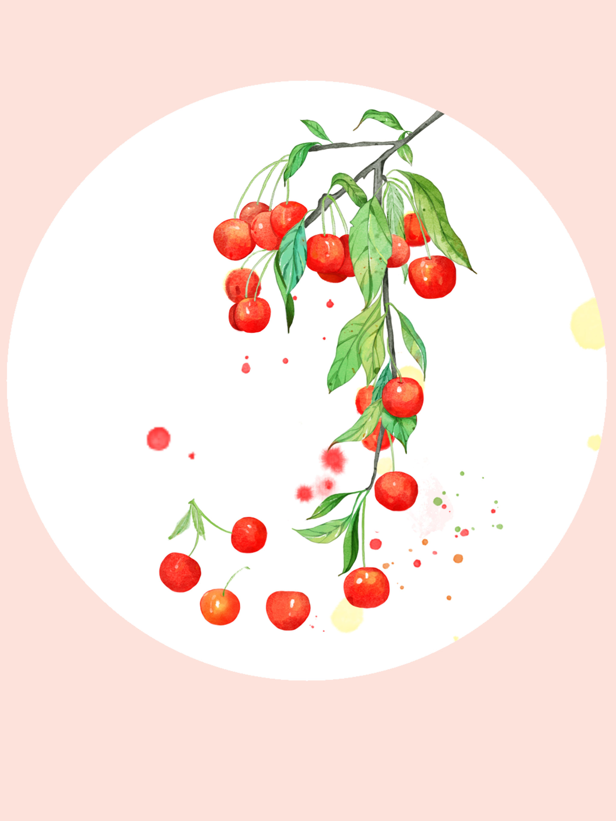 硕果累累之樱桃