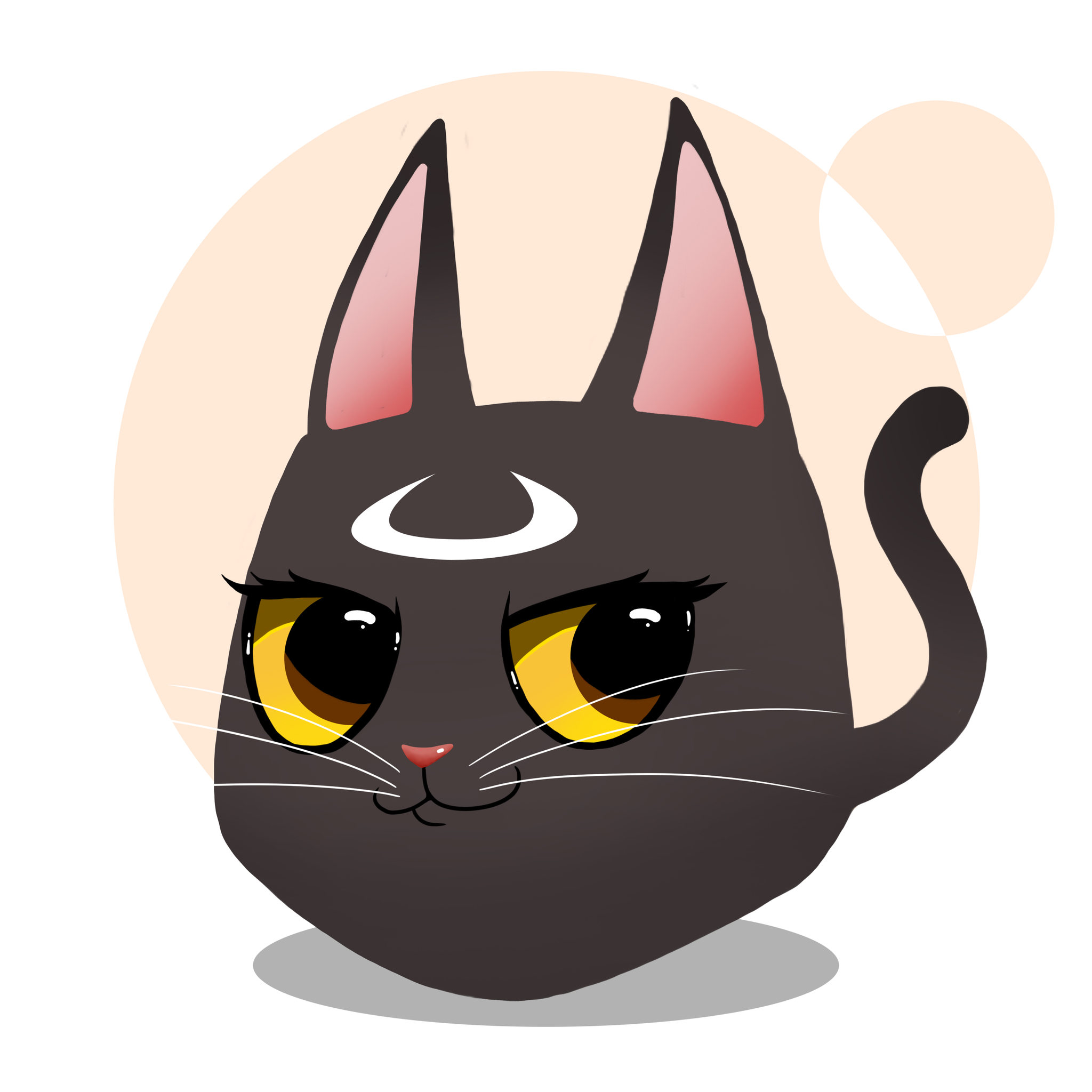 【愤怒的小猫】水冰月小黑猫