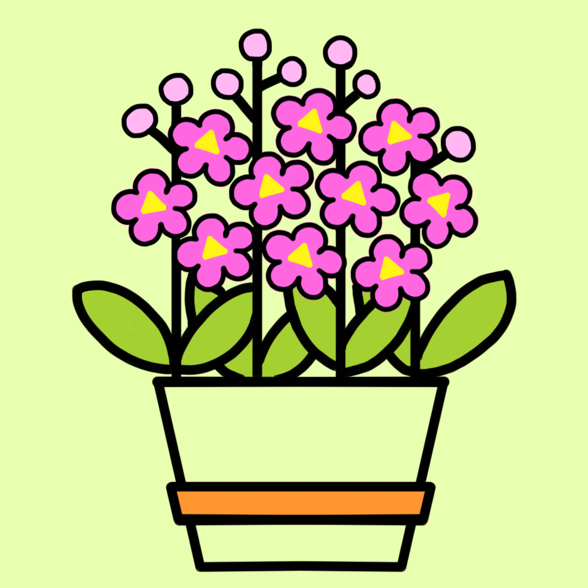 紫罗兰线描简笔画