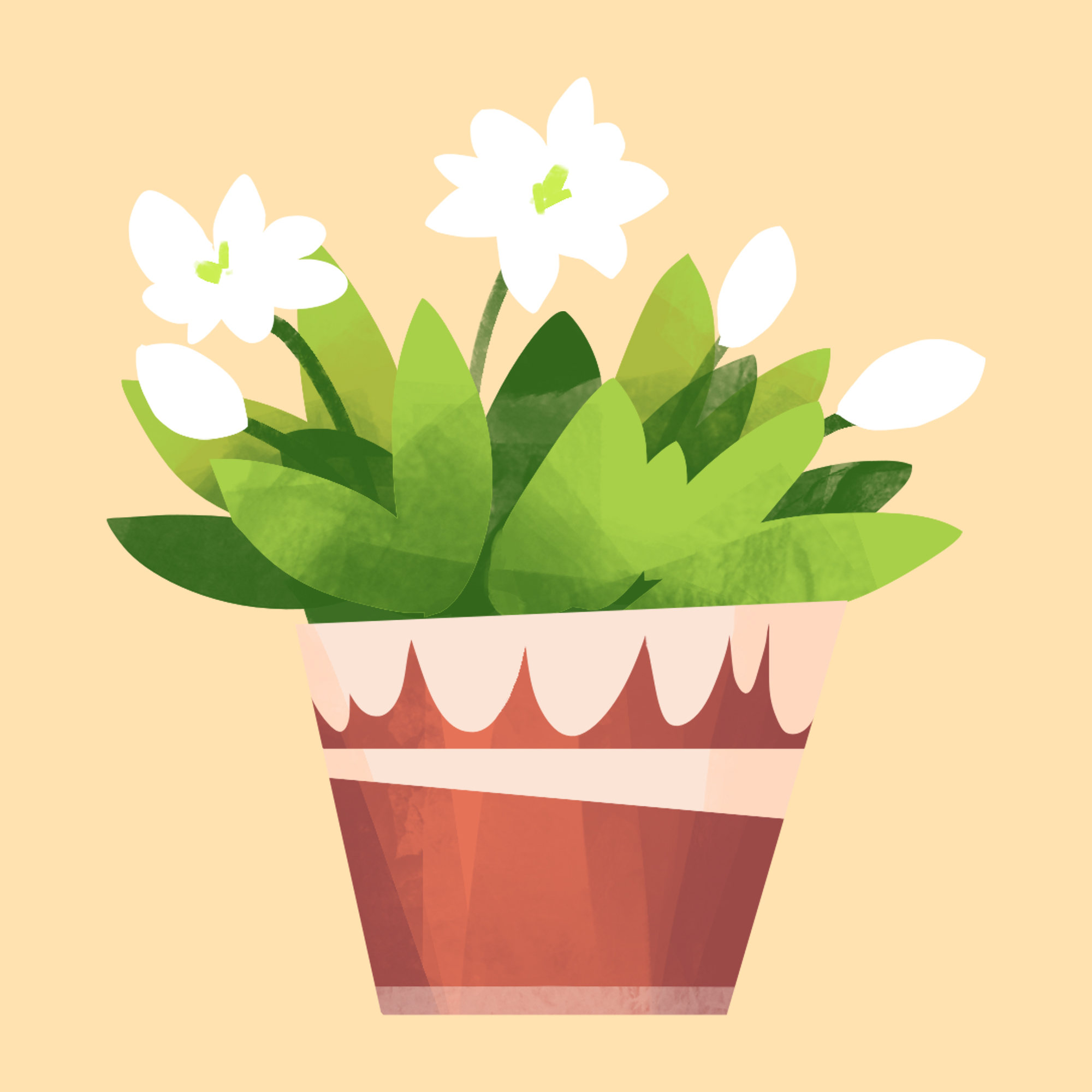 茉莉花剪影厚涂平涂