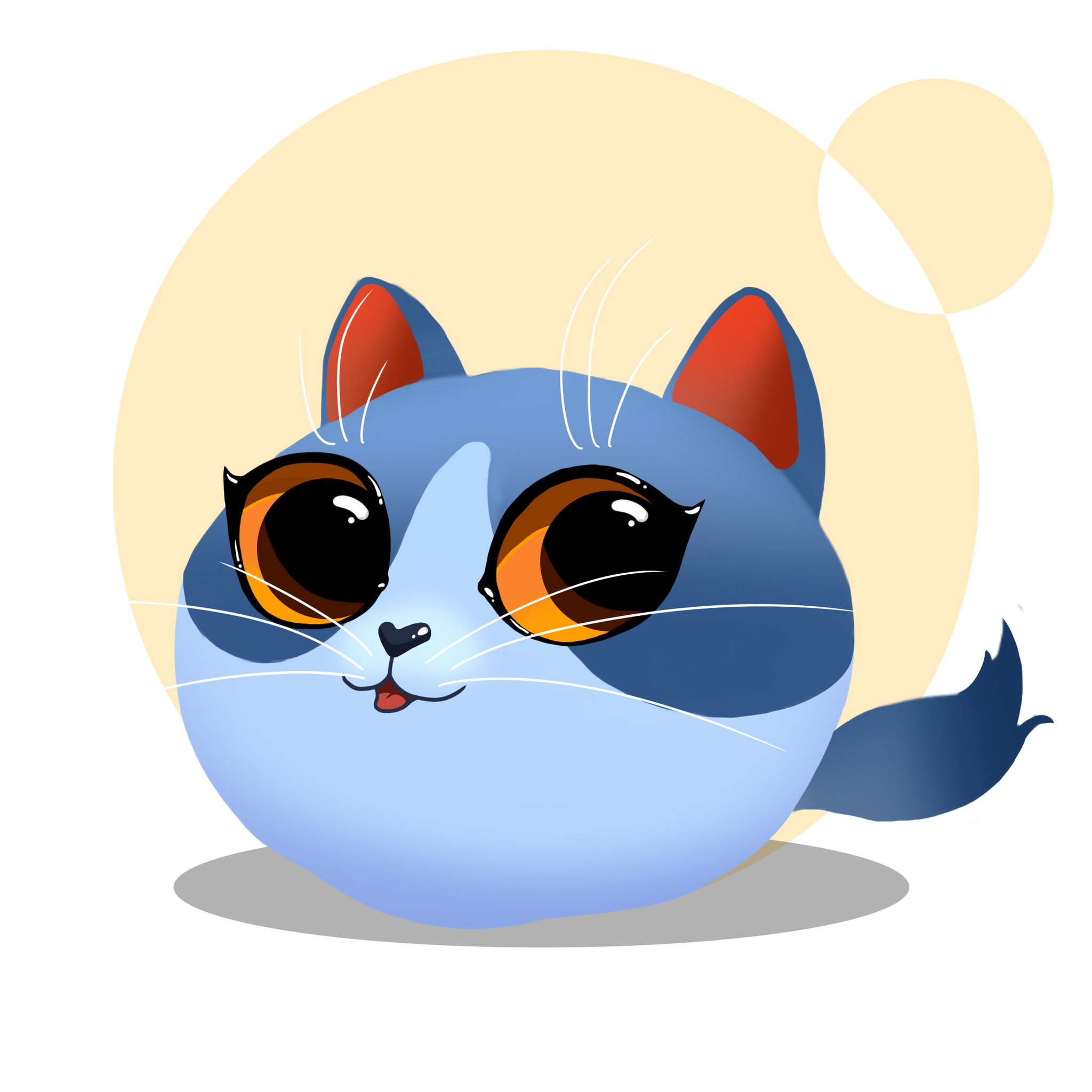 【愤怒的小猫】英短蓝猫