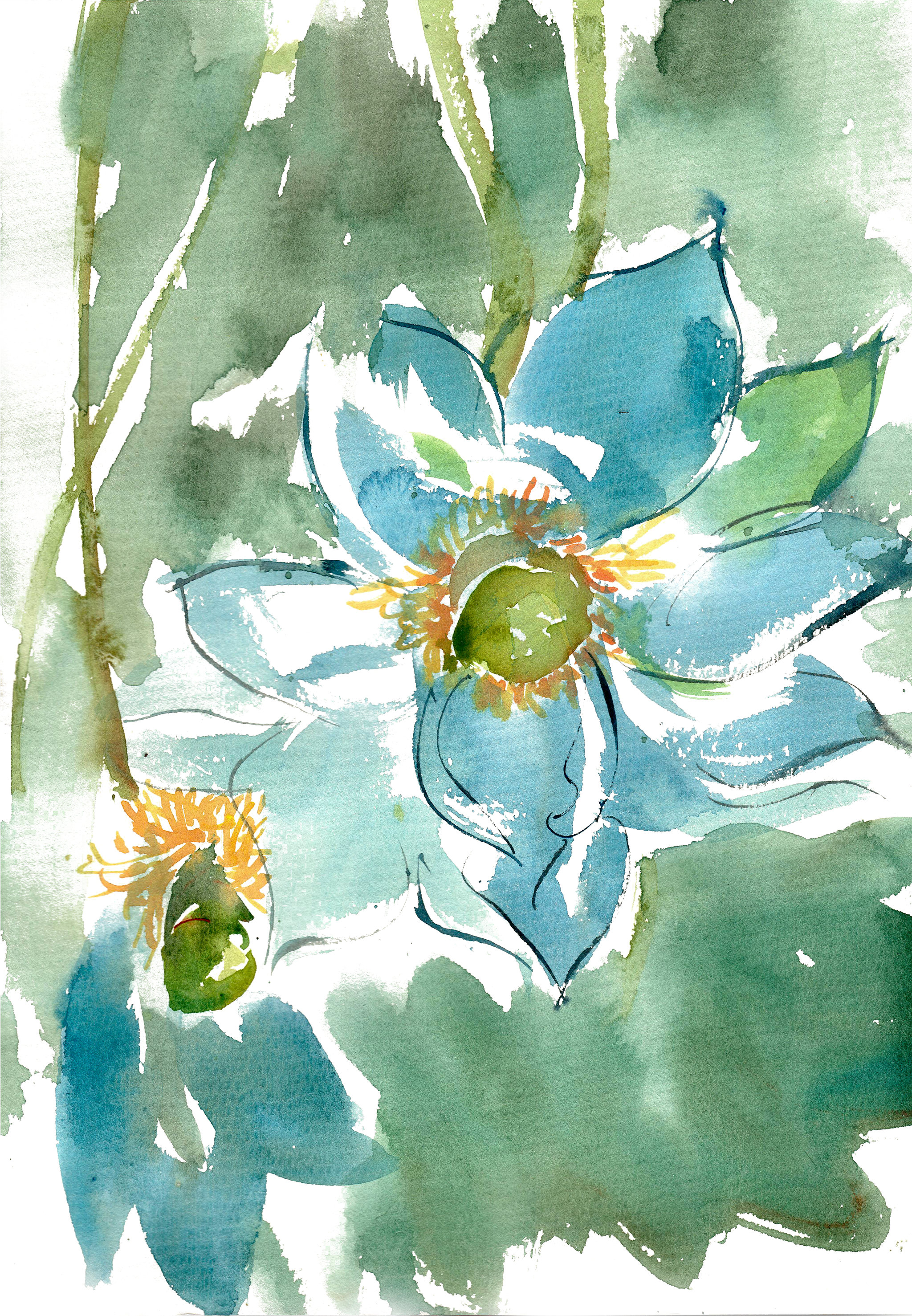 蓝莲花 - 153****4617 - 原创作品 - 视觉中国(shijueme)