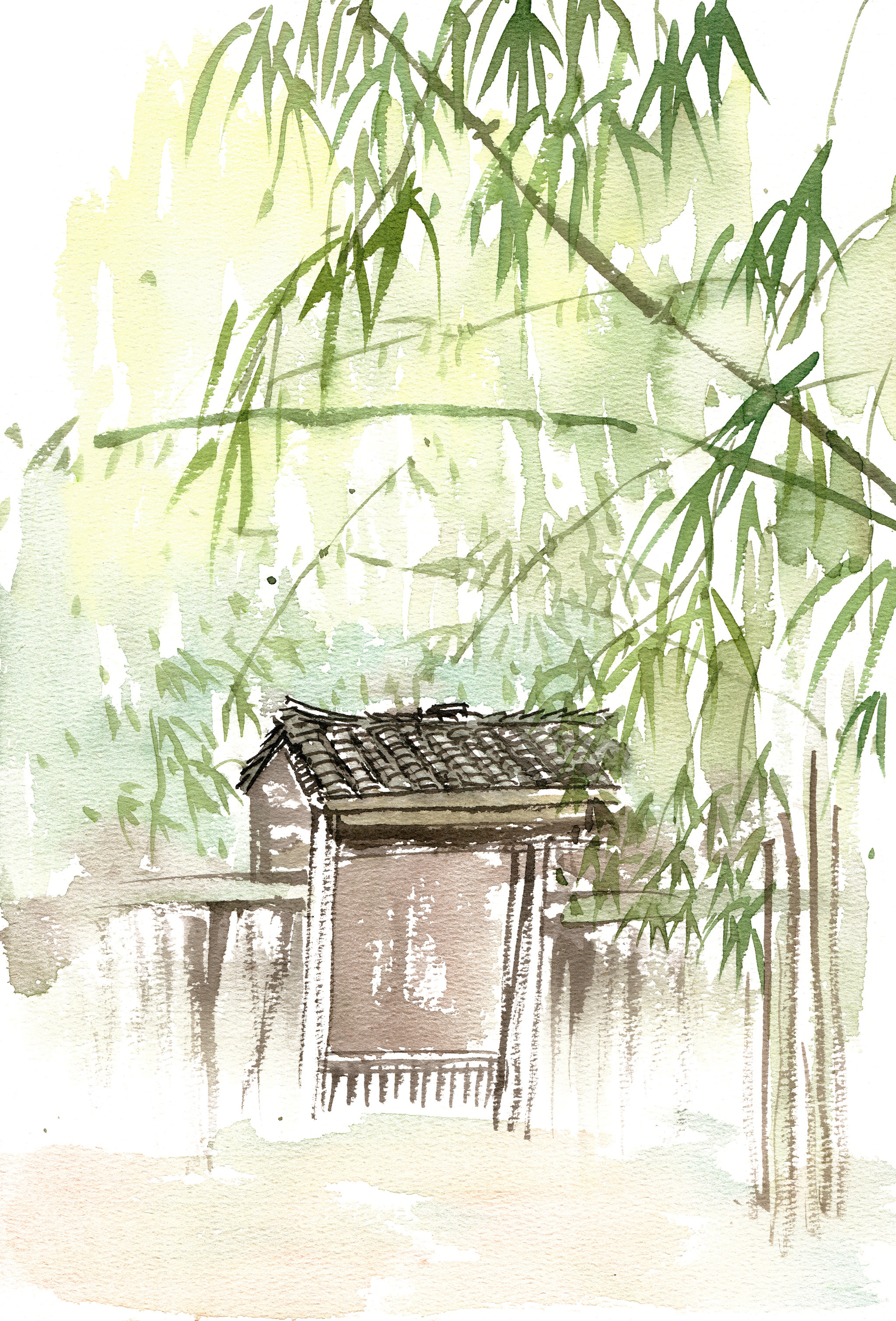 竹林中的小院
