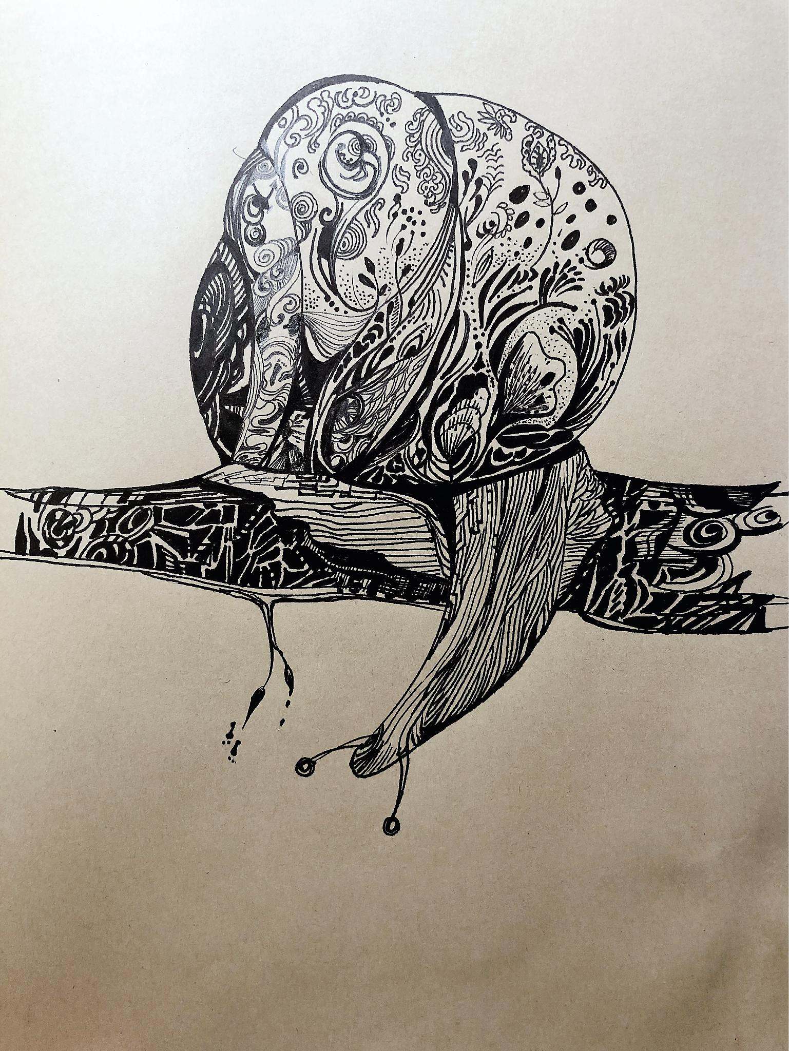 创意线描插画蜗牛