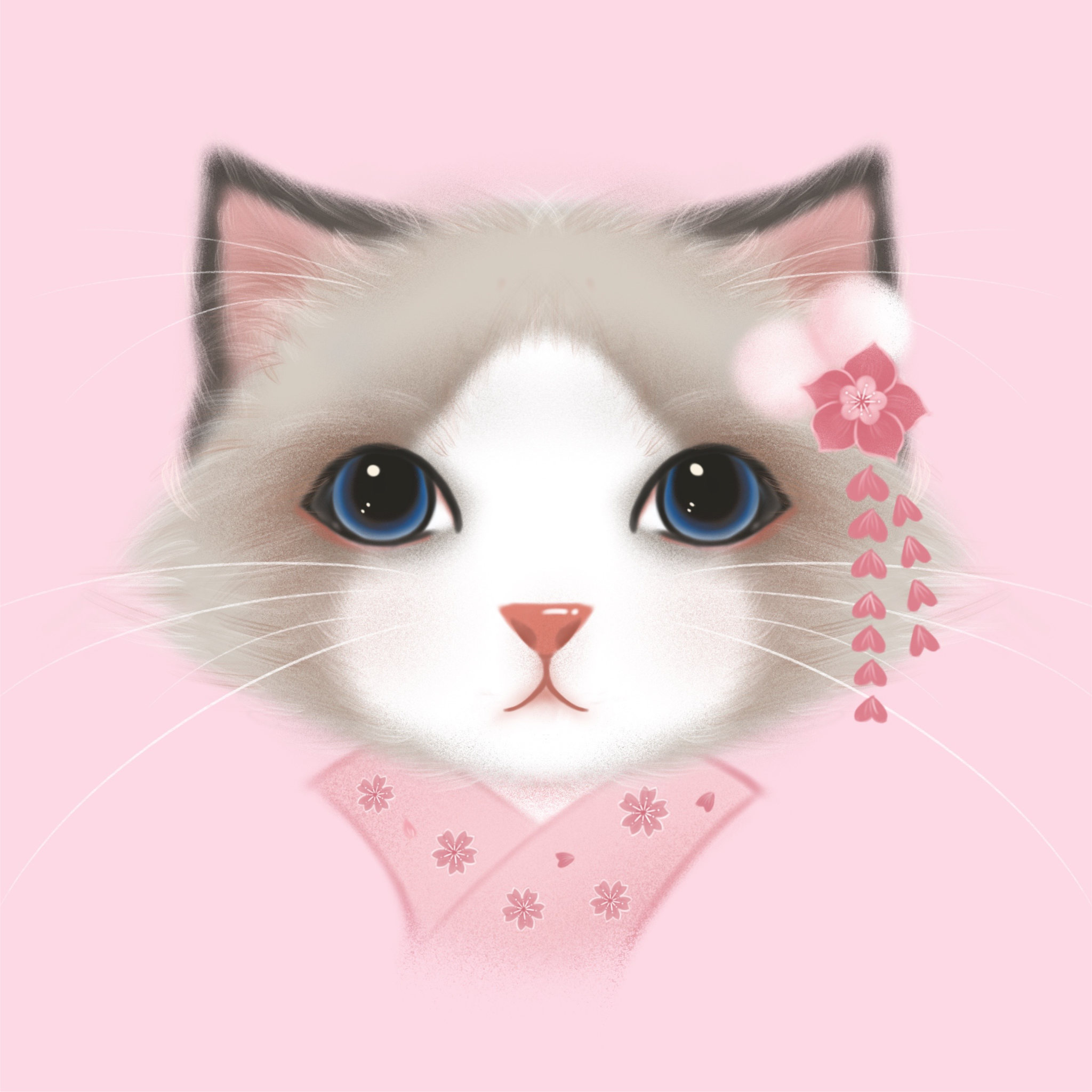 布偶猫-和服头像插画