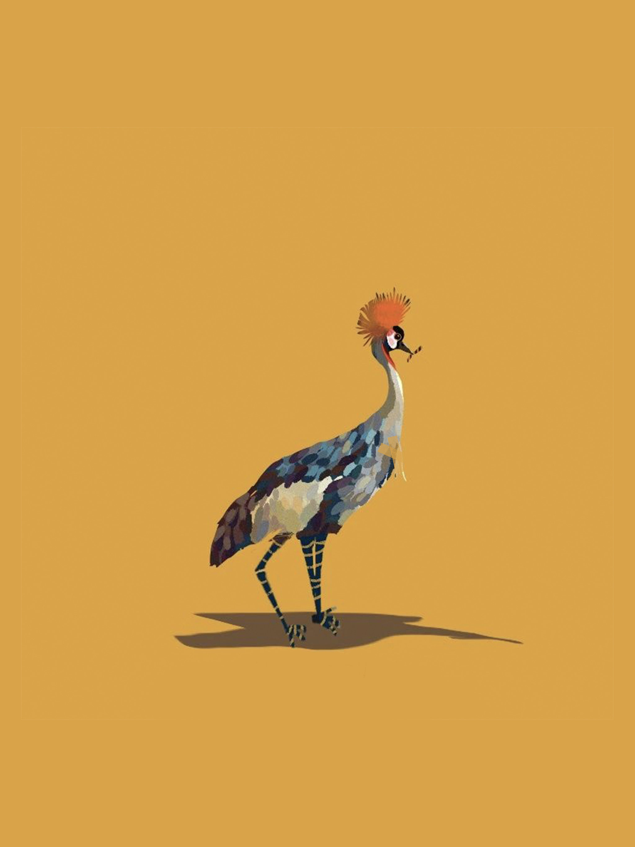 创意动物插画设计 - 徐秀皮 - 原创作品 - 视觉中国(shijueme)