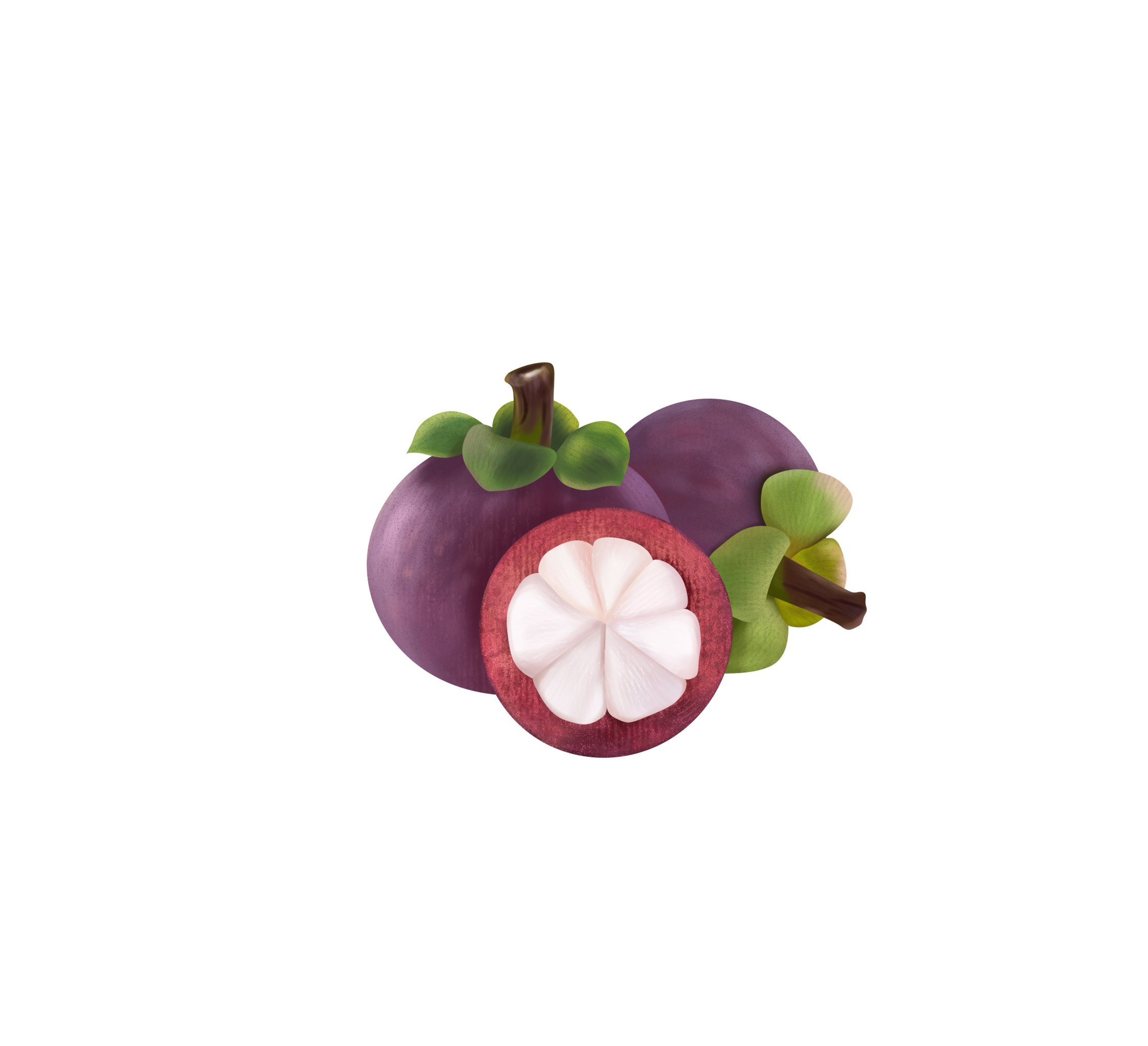 山竹 插画  - 商业插画 |   上传时间: 2021-01-11 12:32 为ta点赞