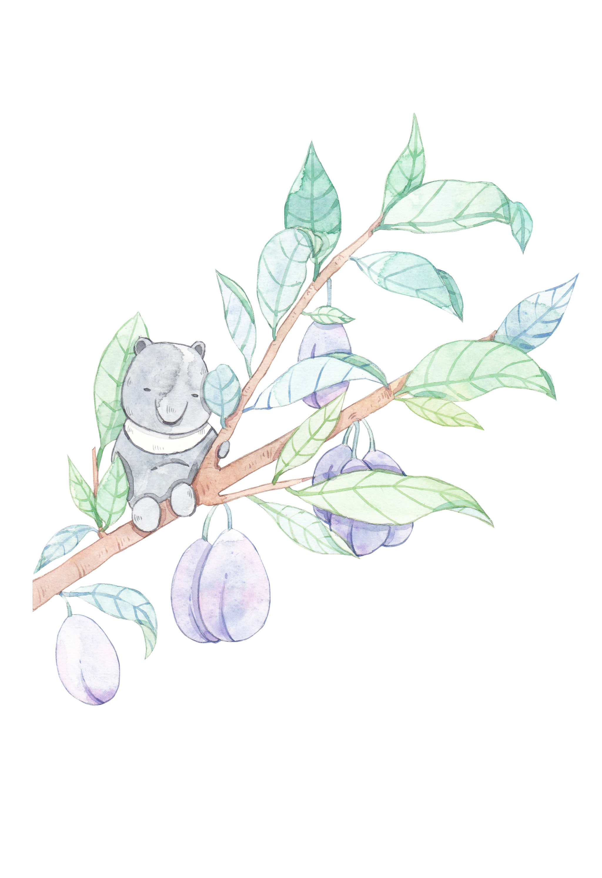 水彩手绘插画秋季蔬果小动物乌梅树枝小熊 - 王大霜as2o3 - 原创作品 