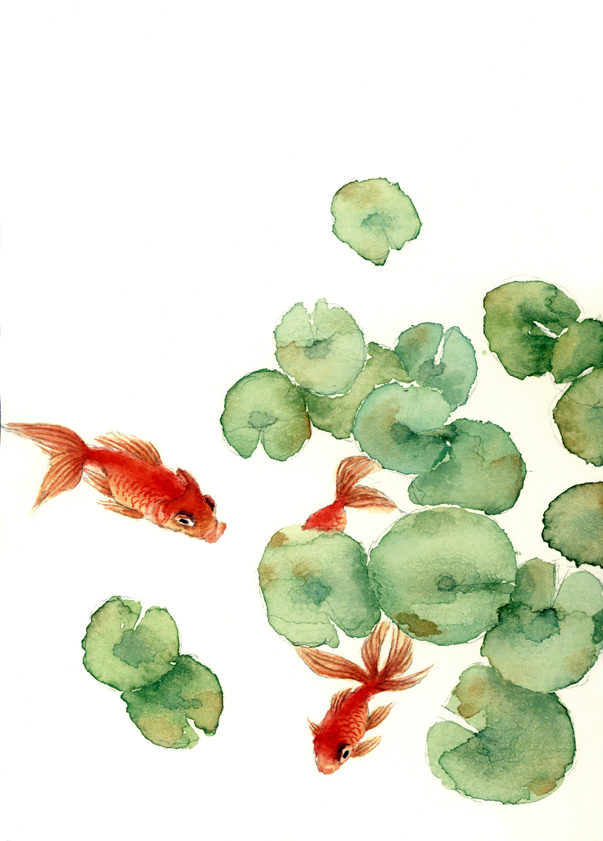 鱼趣 荷花池 - xiaowoniu - 原创作品 - 视觉中国(shijueme)