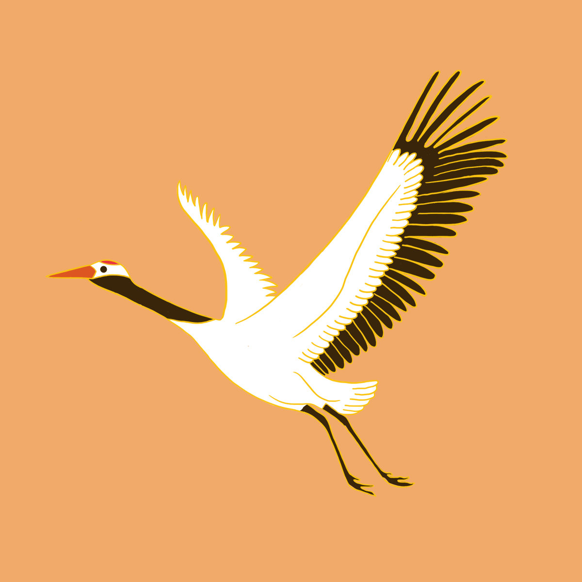 国潮风仙鹤插画