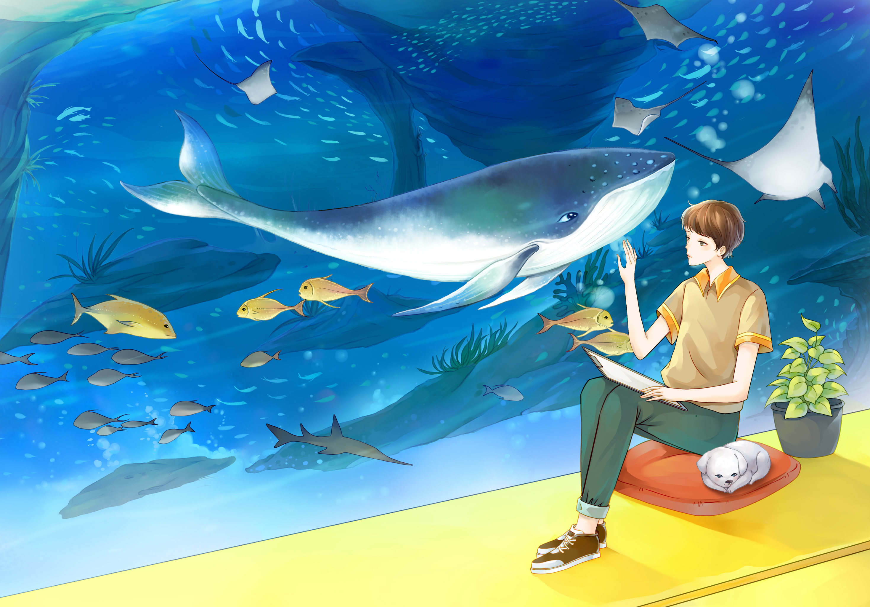 海族馆里的少年和鱼群