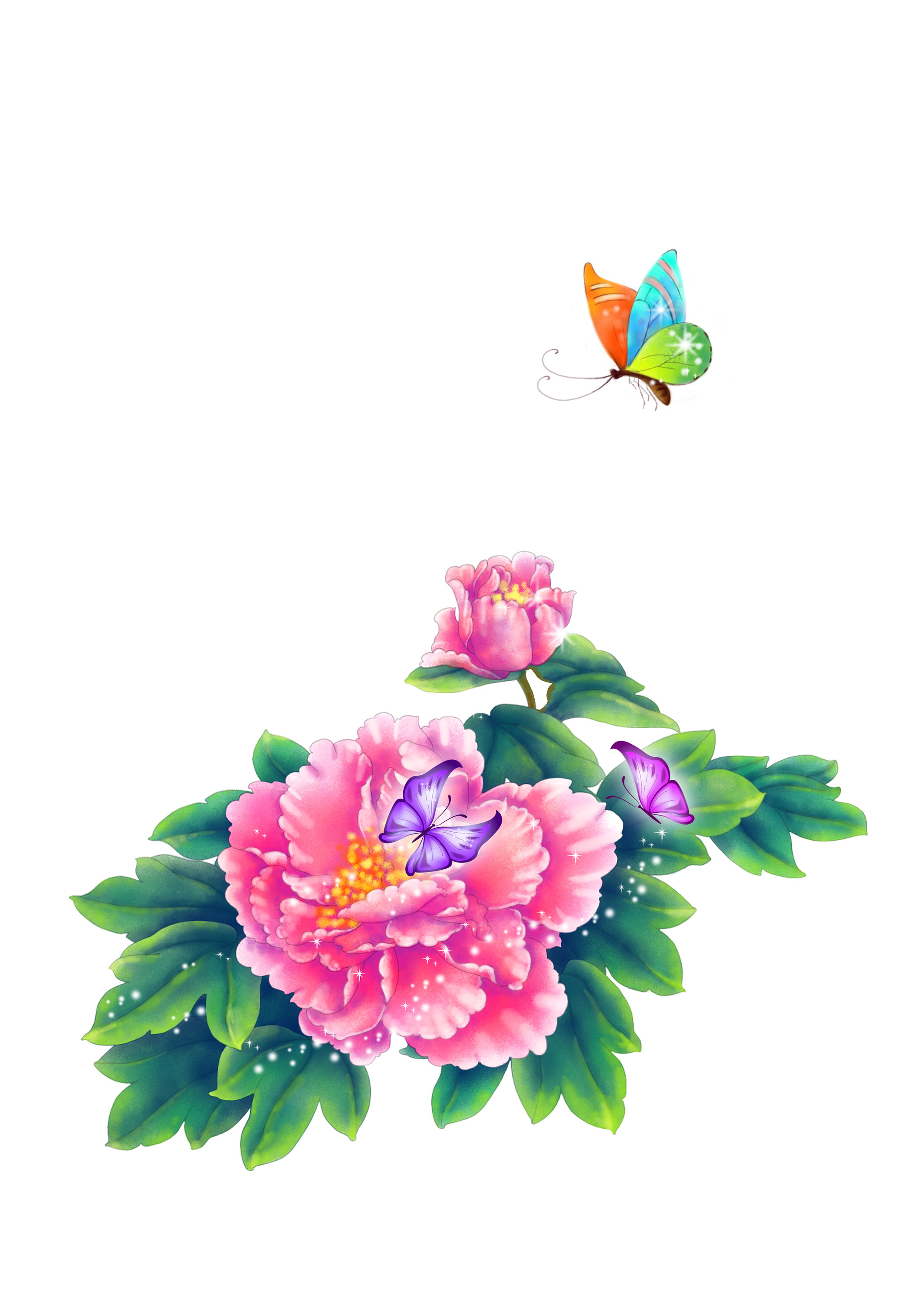 牡丹蝴蝶 - 一一 - 原创作品 - 视觉中国(shijueme)