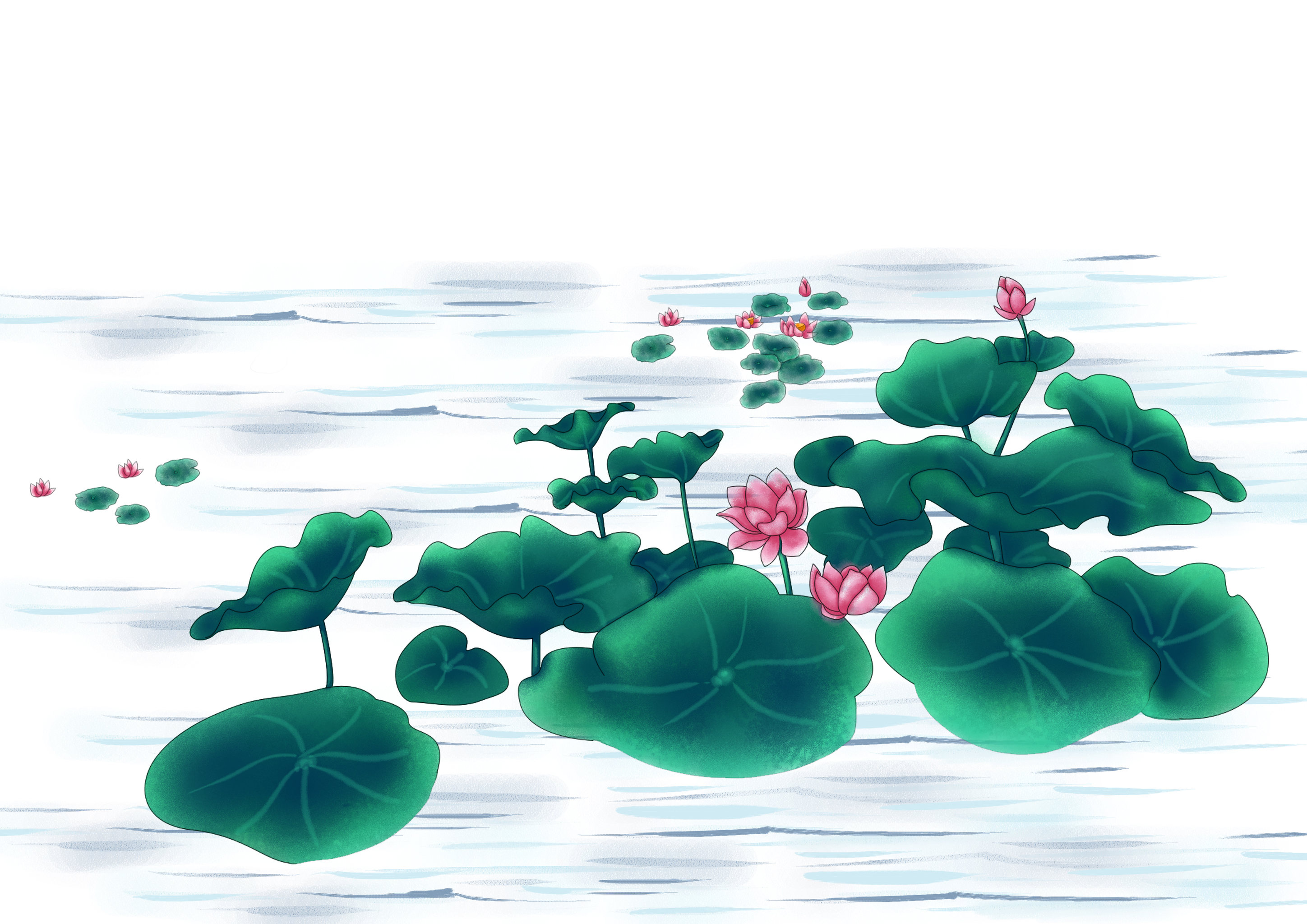 荷花- 张_zhang - 原创作品 - 视觉中国(shijueme)