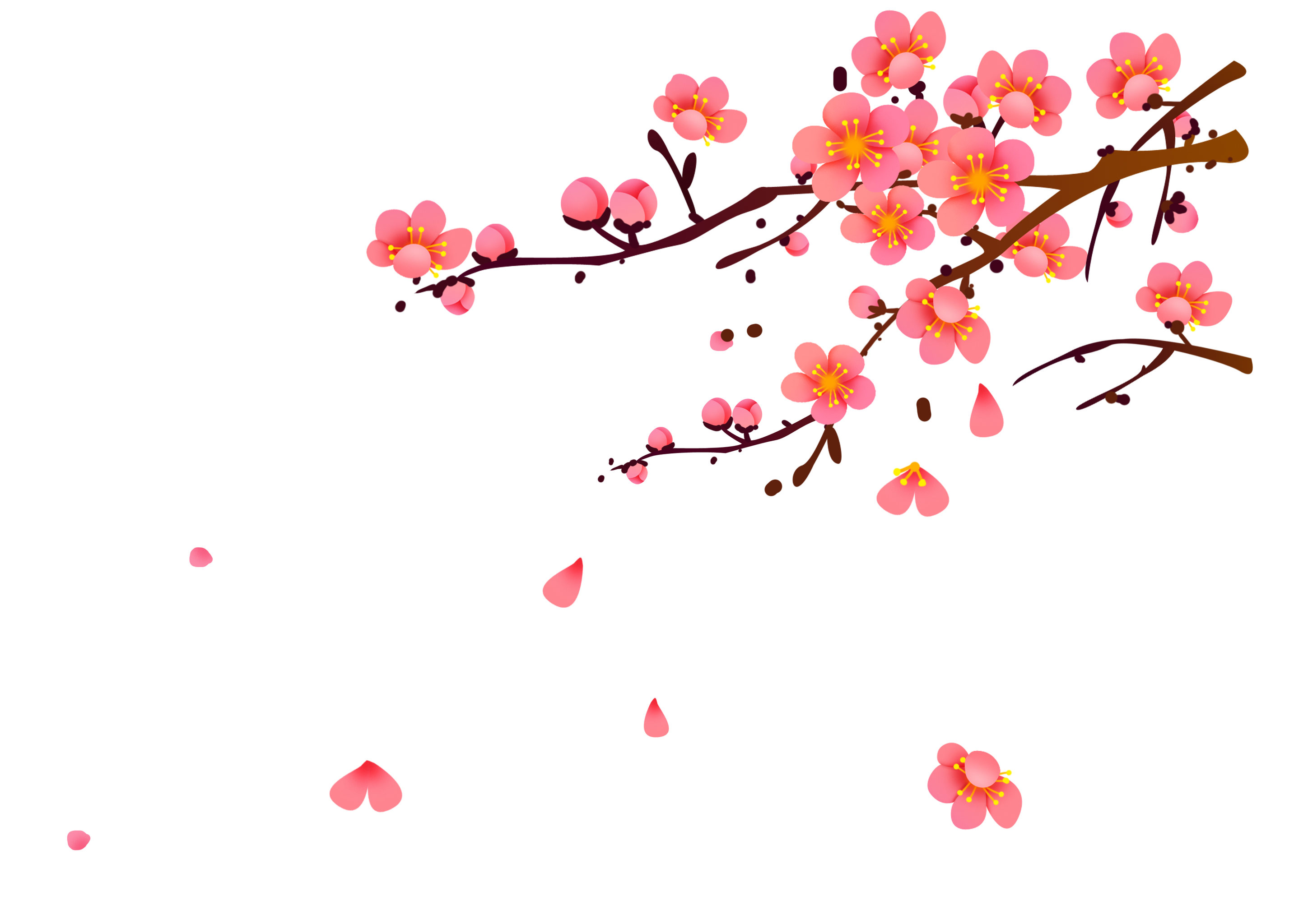 梅花- 张_zhang - 原创作品 - 视觉中国(shijueme)