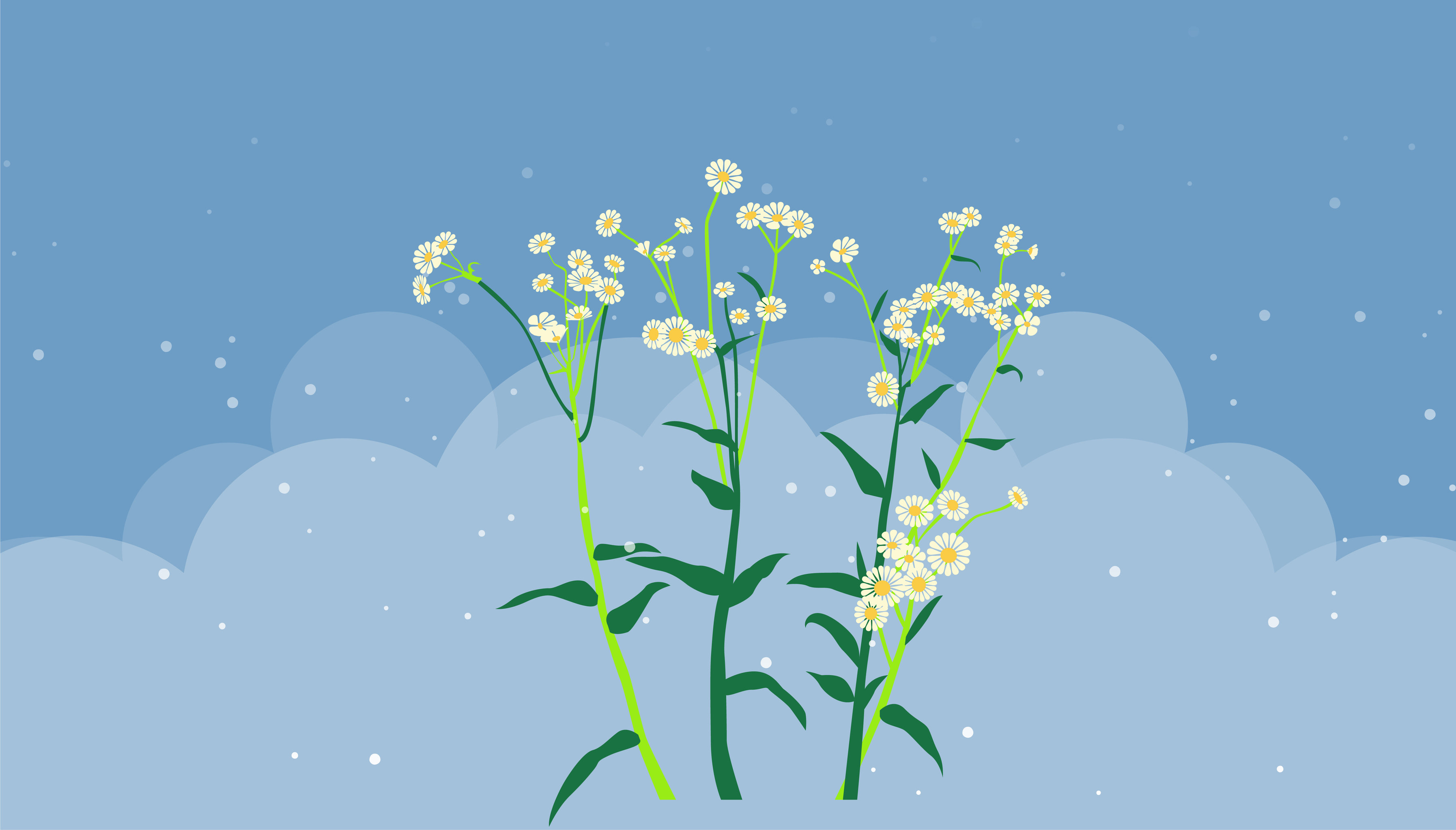 矢量扁平风小雏菊野菊花插画