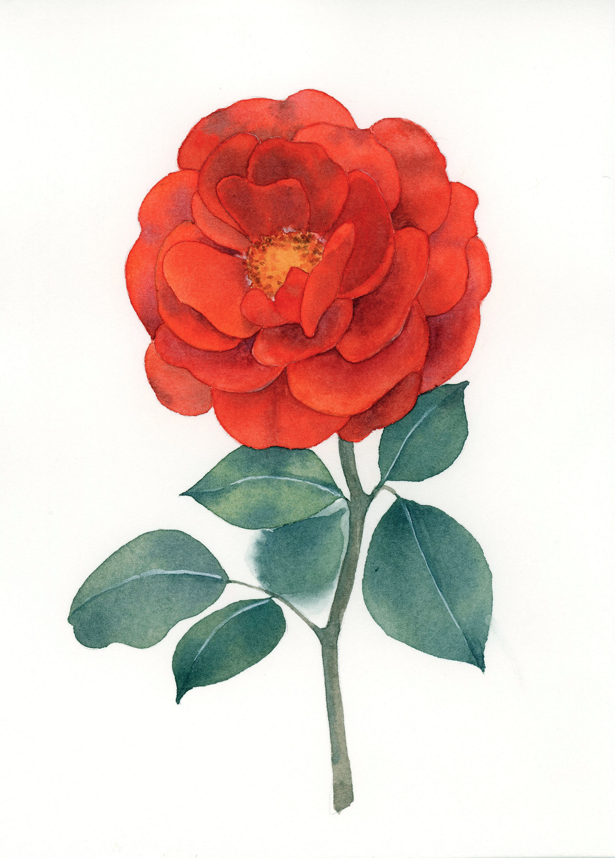 一枝花 插画  - 商业插画 |   上传时间: 2020-12-08 17:39 为ta点赞