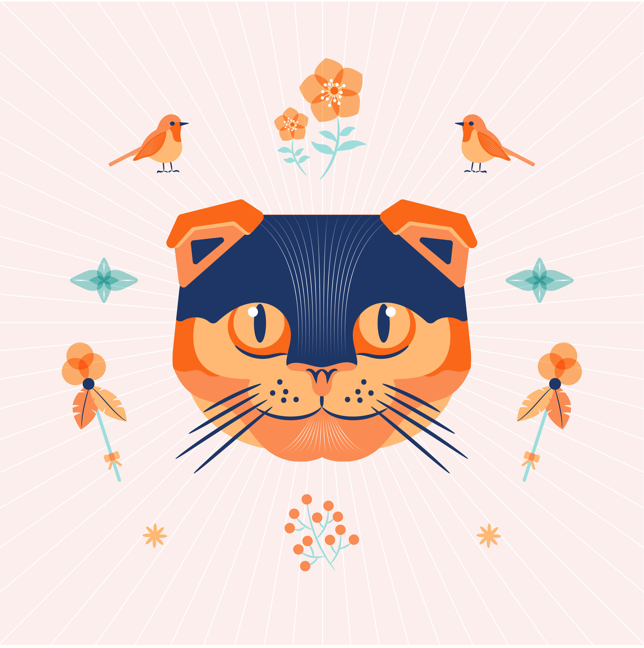 猫 猫头 动物 猫的脸部图片