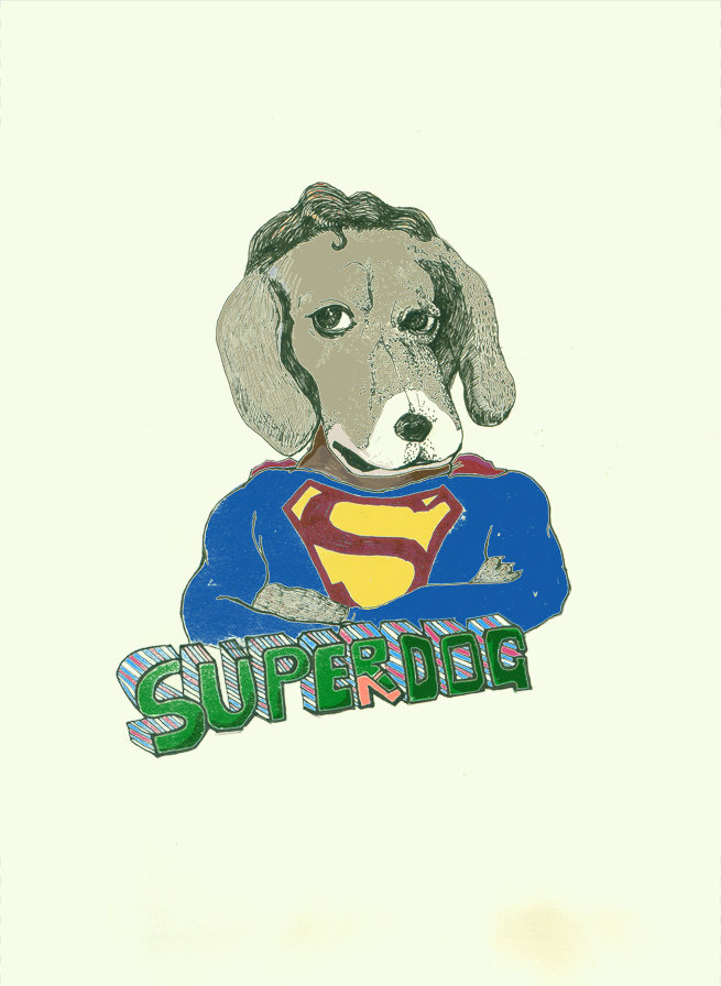 superdog - kangqing - 原创作品 - 视觉中国(shijueme)