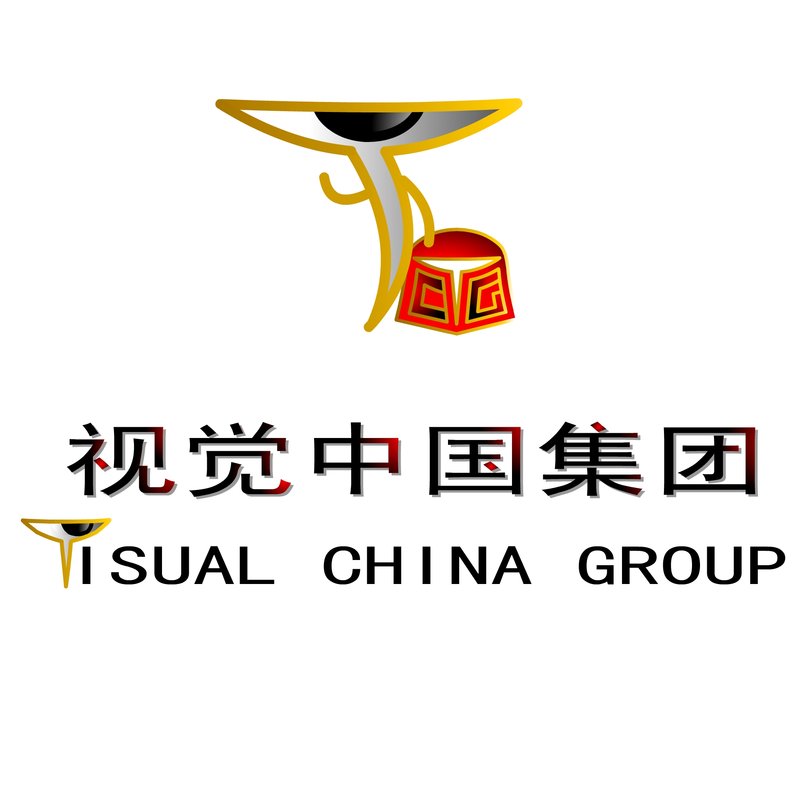 视觉中国集团logo