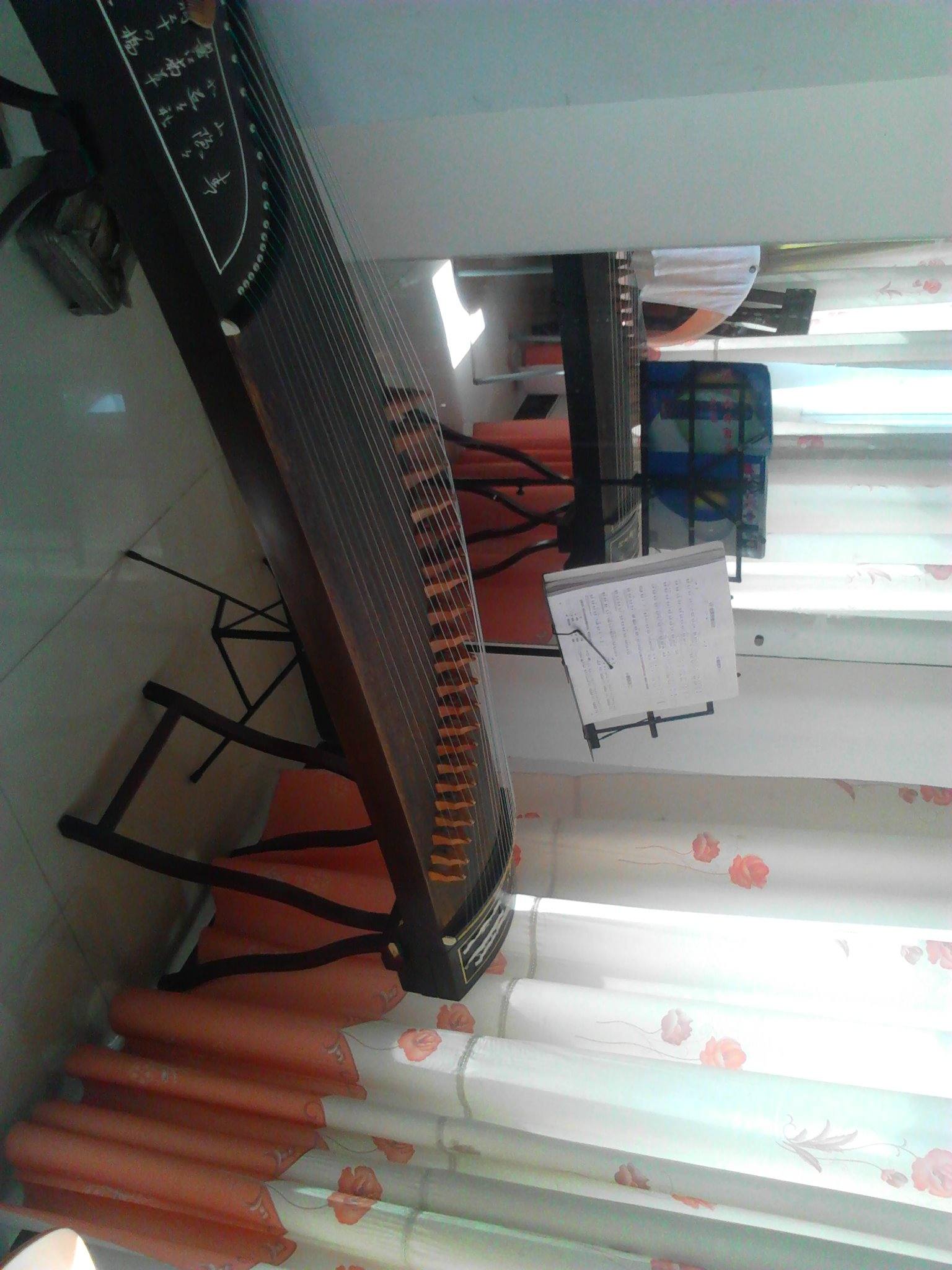 古筝- 巴黎物语 - 转载作品 - 视觉中国(shijueme)