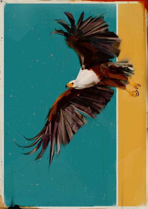 flying birds鸟系列插画设计